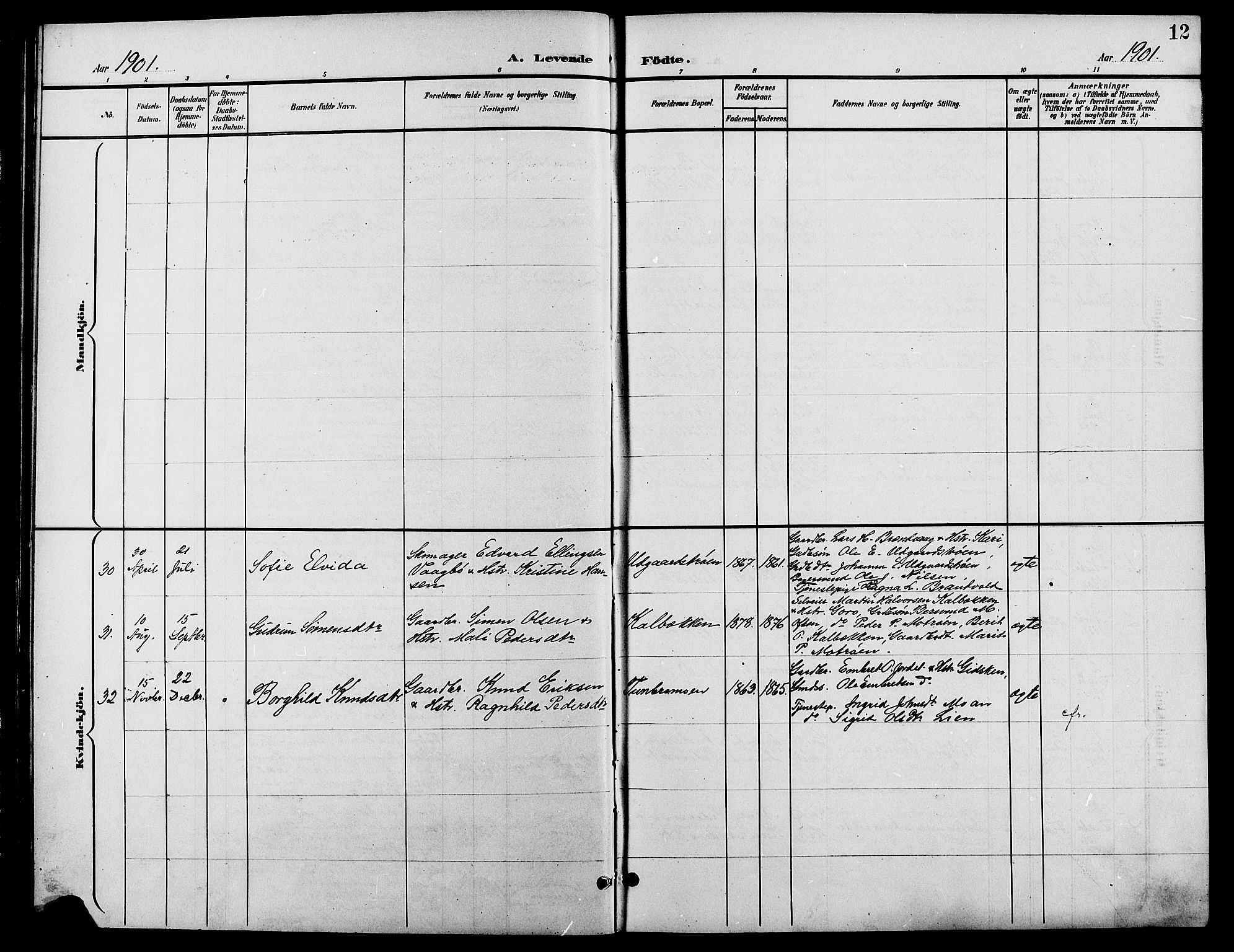 Tynset prestekontor, AV/SAH-PREST-058/H/Ha/Hab/L0009: Parish register (copy) no. 9, 1900-1914, p. 12