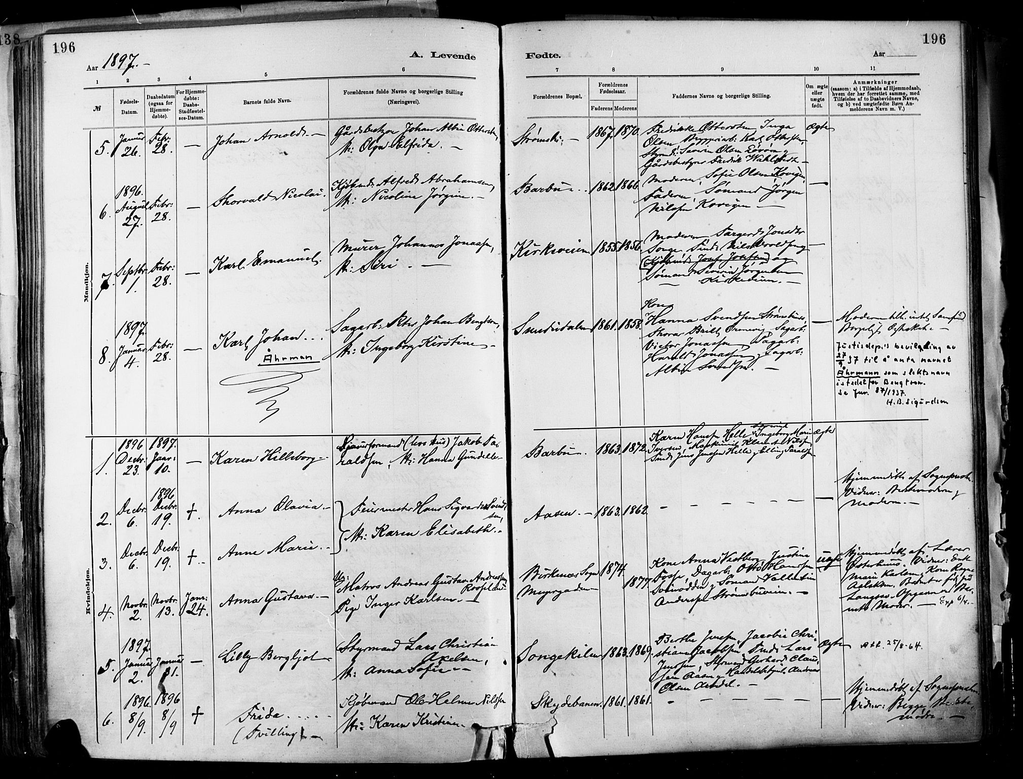 Barbu sokneprestkontor, AV/SAK-1111-0003/F/Fa/L0002: Parish register (official) no. A 2, 1883-1898, p. 196