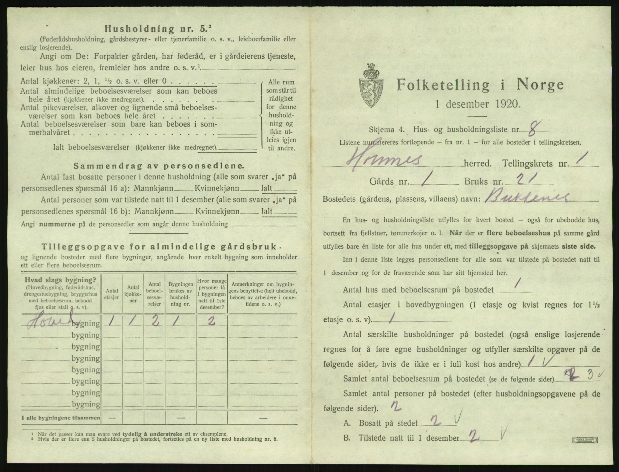 SAK, 1920 census for Hornnes, 1920, p. 71