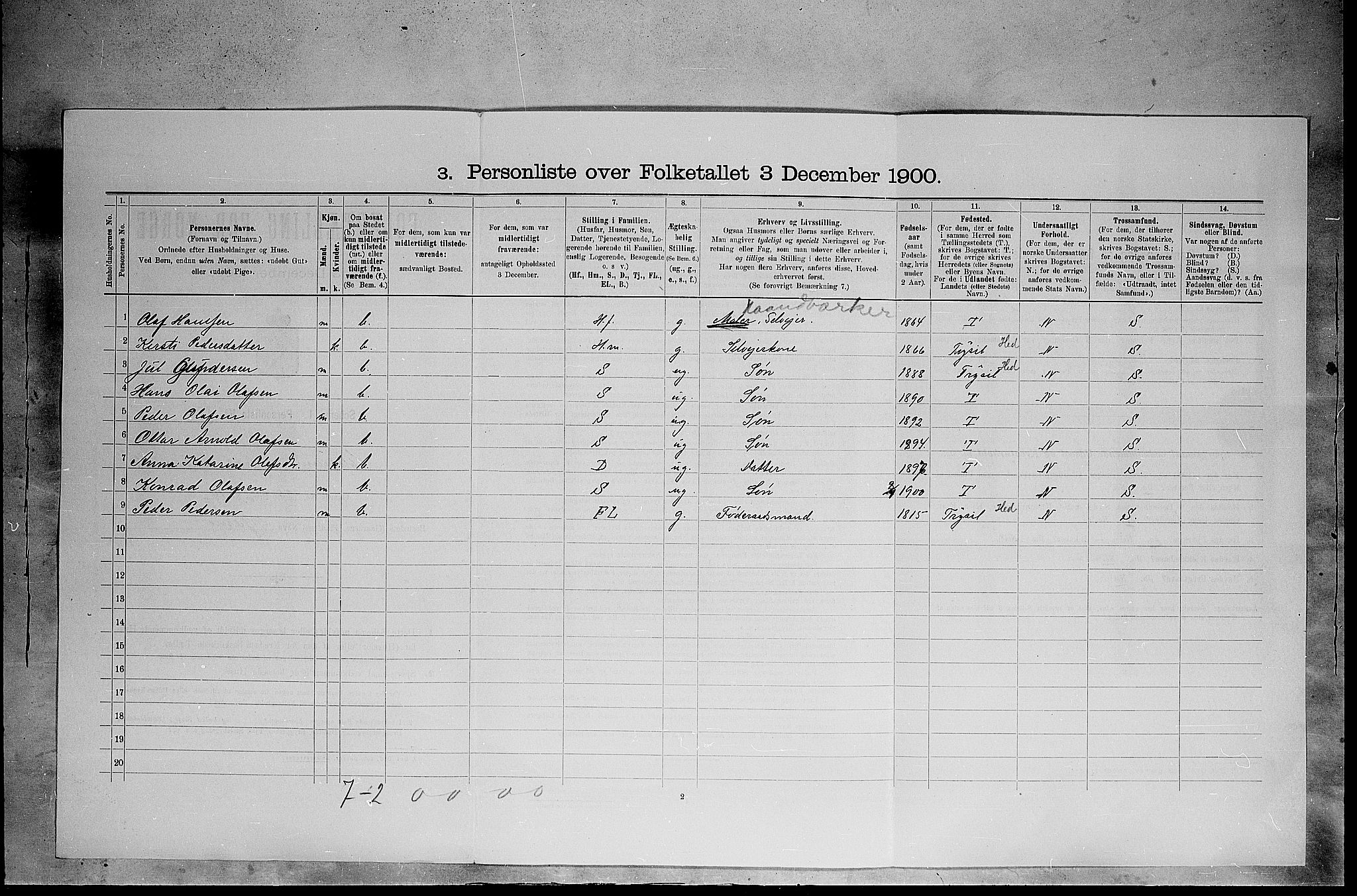 SAH, 1900 census for Elverum, 1900, p. 810