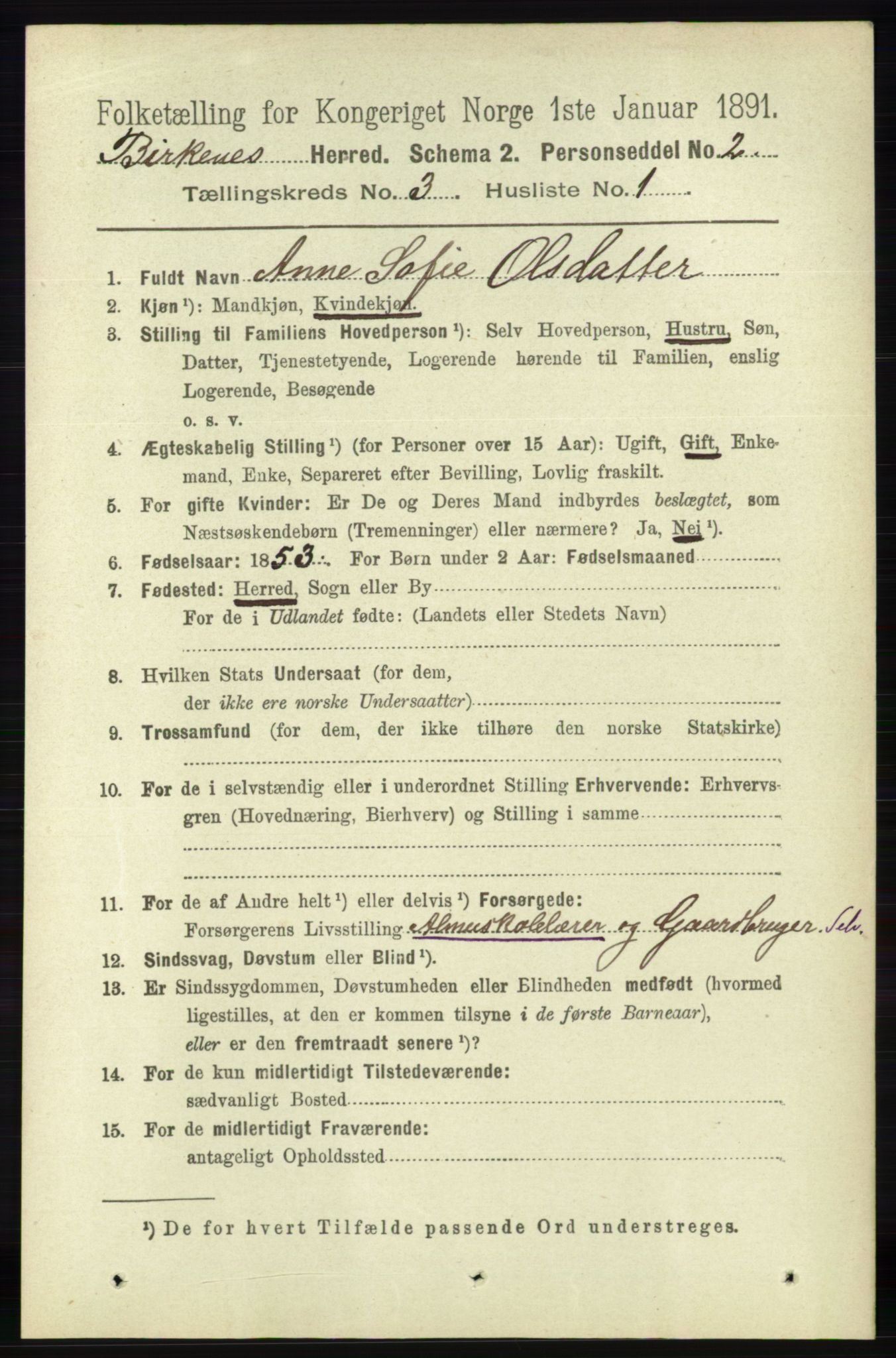 RA, 1891 Census for 0928 Birkenes, 1891, p. 848