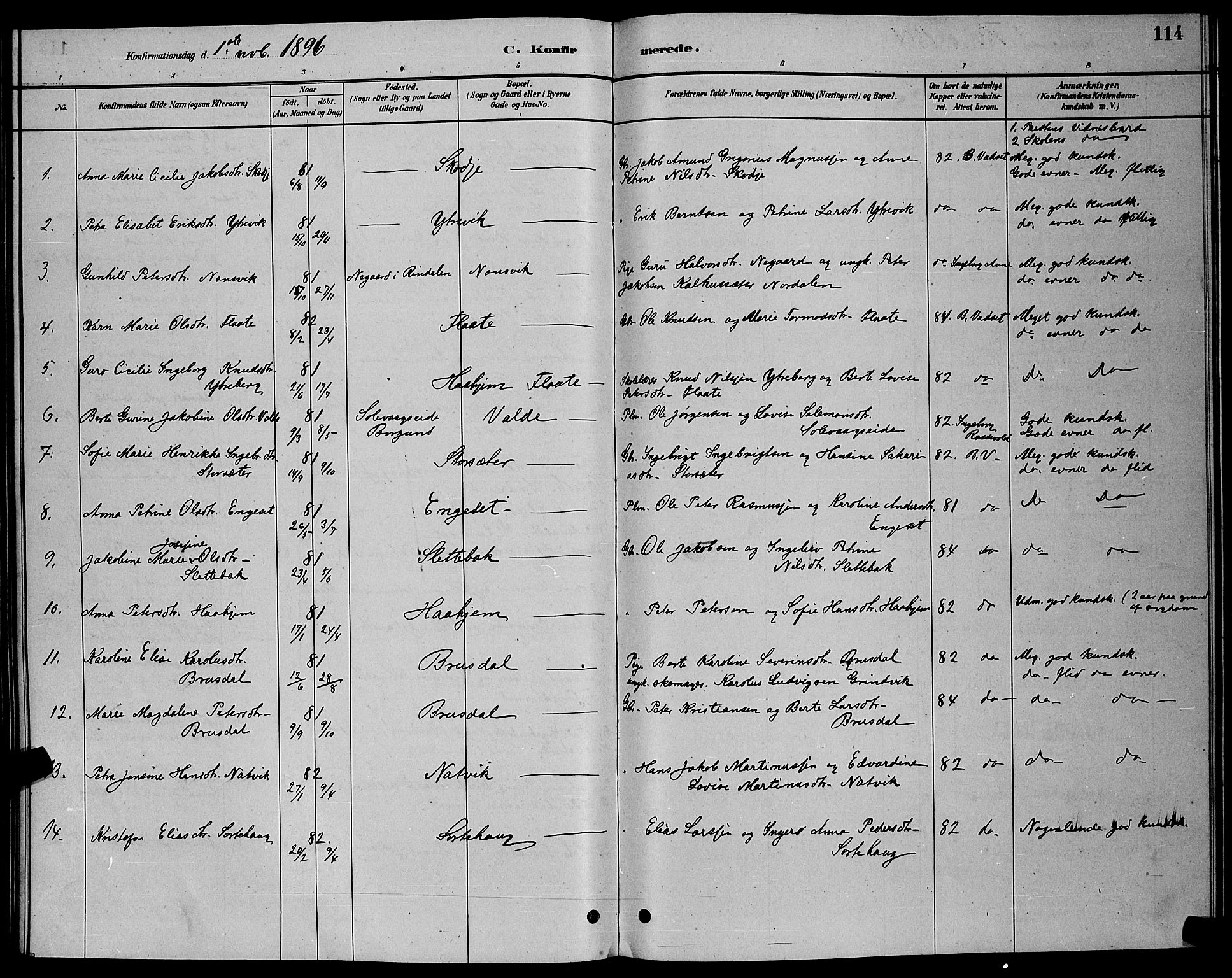 Ministerialprotokoller, klokkerbøker og fødselsregistre - Møre og Romsdal, AV/SAT-A-1454/524/L0365: Parish register (copy) no. 524C06, 1880-1899, p. 114