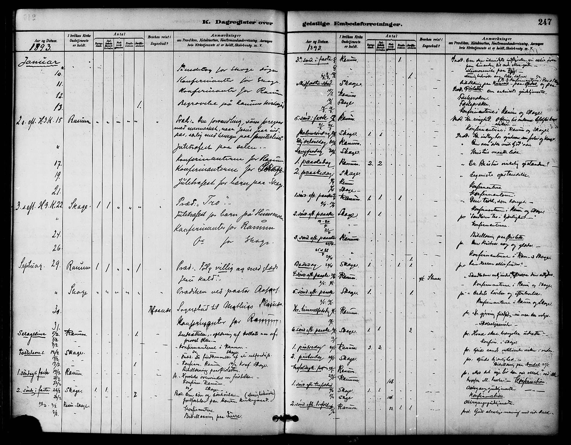 Ministerialprotokoller, klokkerbøker og fødselsregistre - Nord-Trøndelag, SAT/A-1458/764/L0555: Parish register (official) no. 764A10, 1881-1896, p. 247