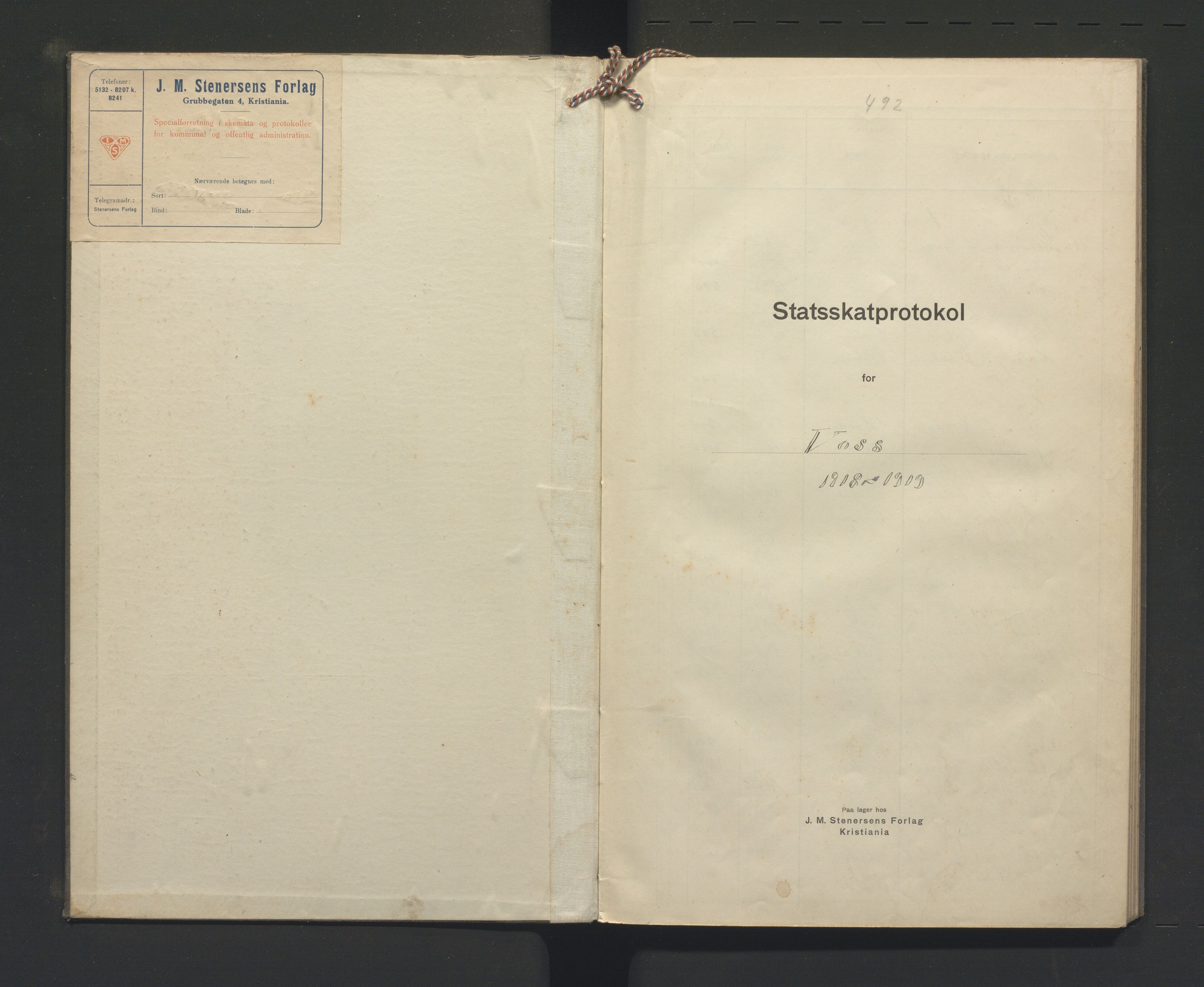 Voss kommune. Likningsnemnda, IKAH/1235-142/F/Fb/L0003: Statsskattprotokoll, 1918-1919