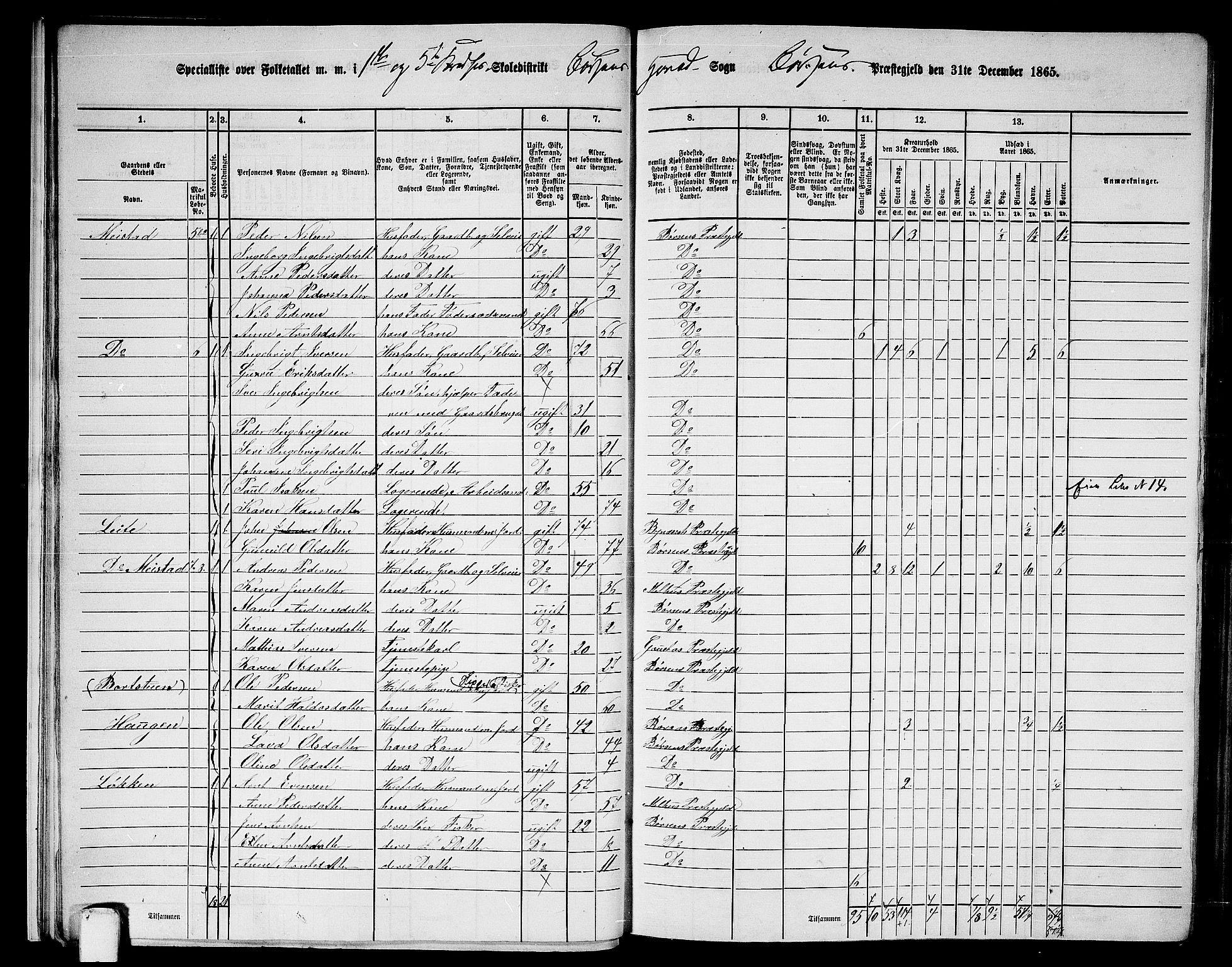 RA, 1865 census for Børsa, 1865, p. 14