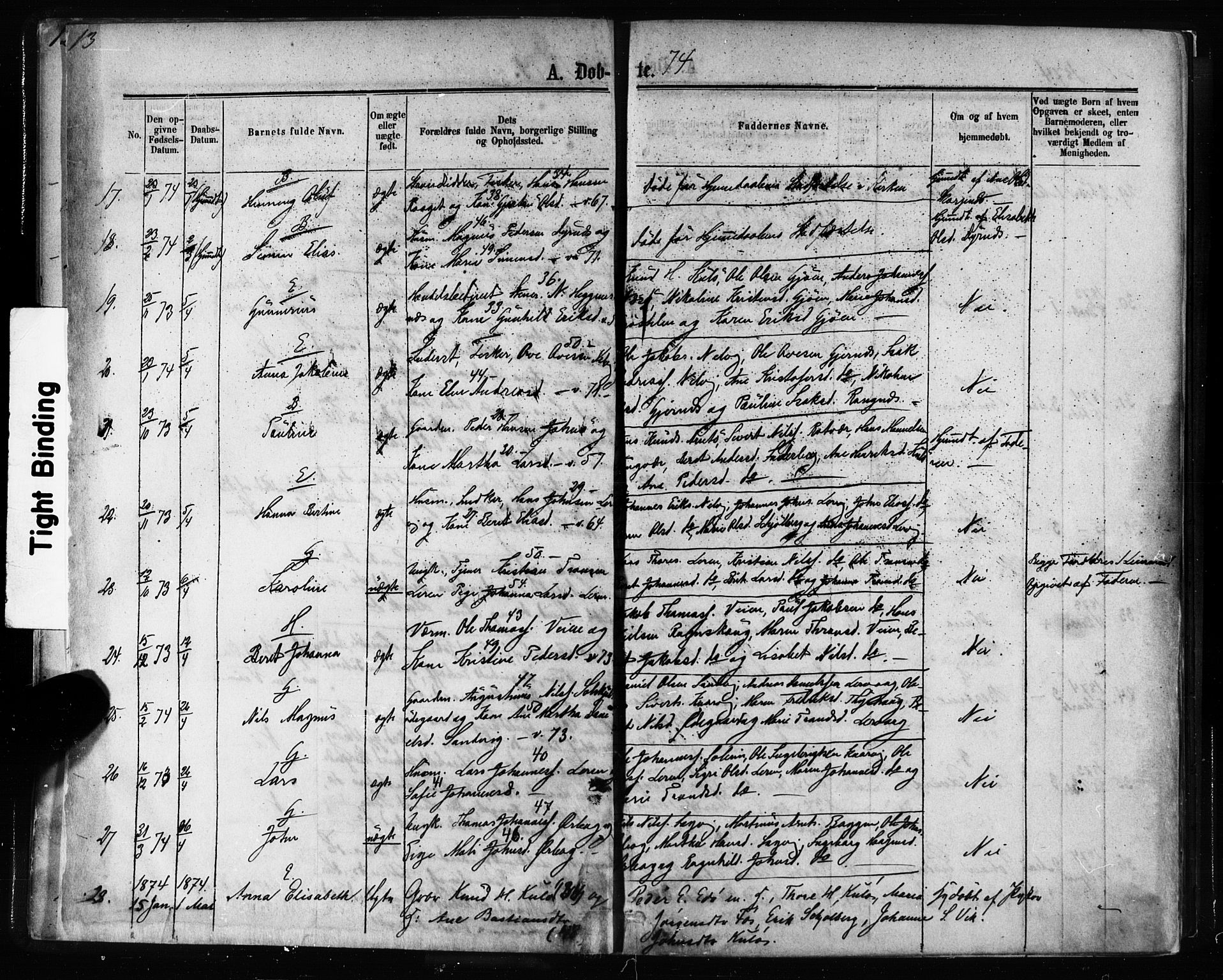 Ministerialprotokoller, klokkerbøker og fødselsregistre - Møre og Romsdal, AV/SAT-A-1454/581/L0938: Parish register (official) no. 581A06, 1873-1879, p. 13