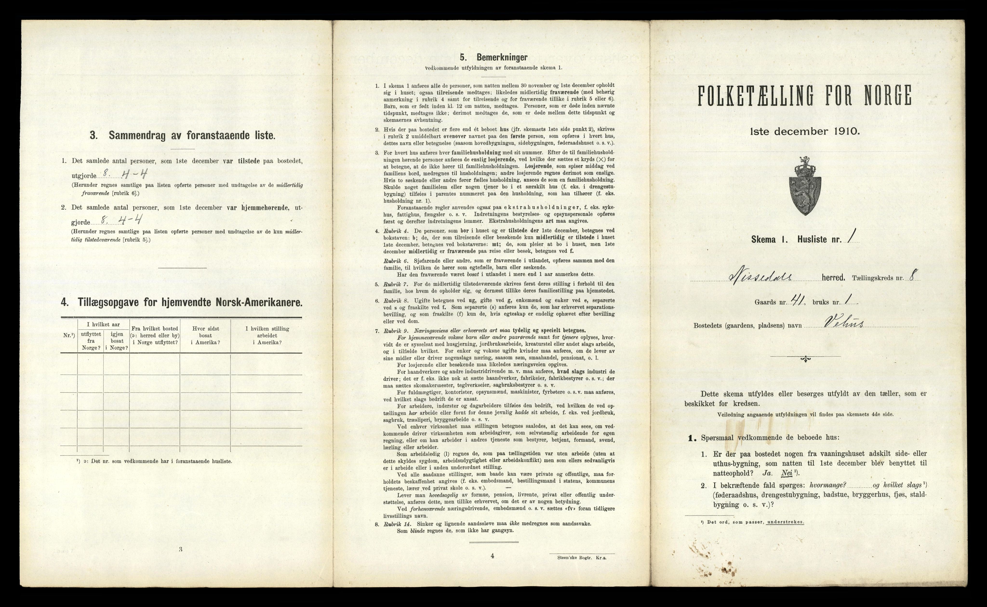 RA, 1910 census for Nissedal, 1910, p. 596