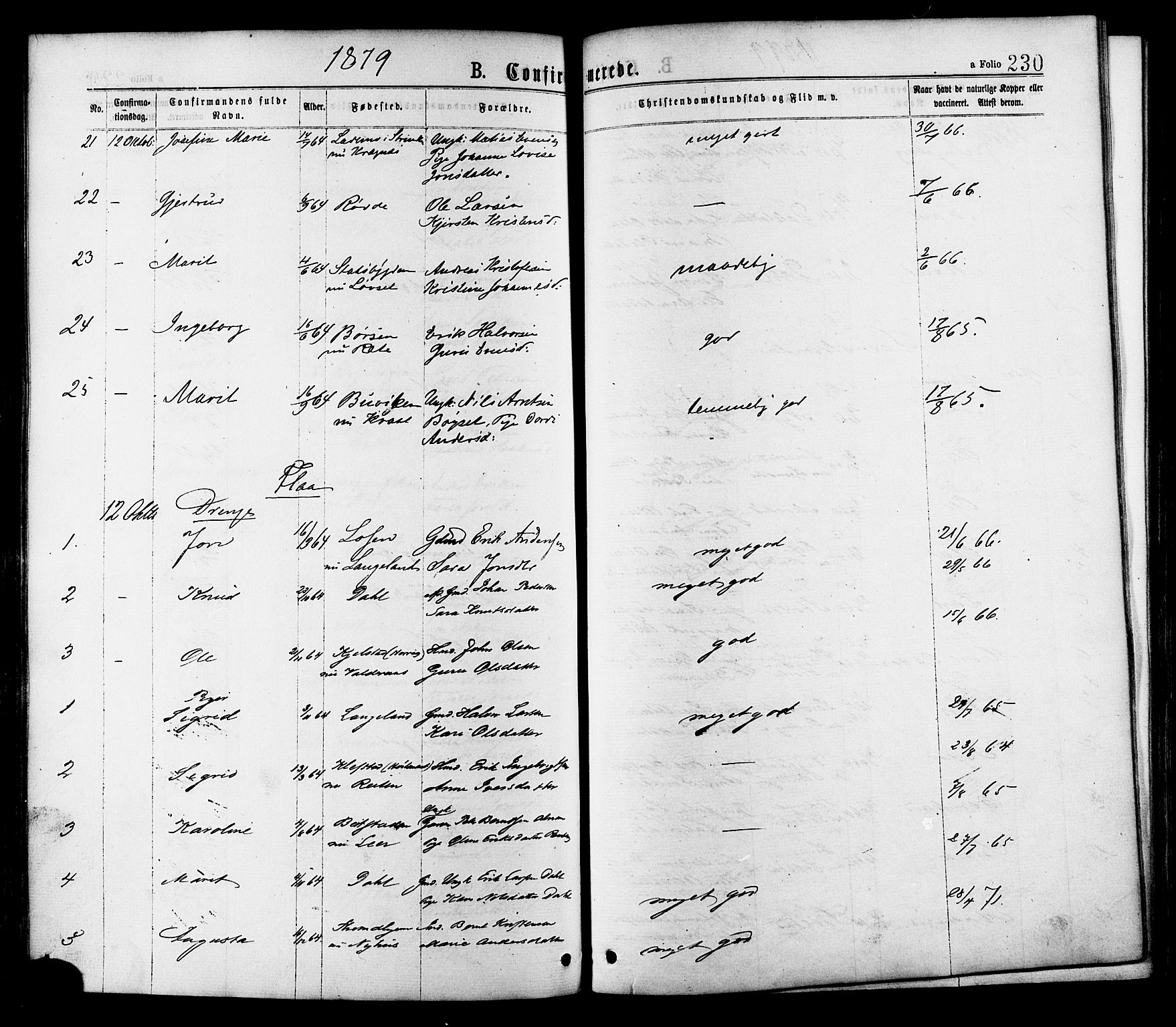 Ministerialprotokoller, klokkerbøker og fødselsregistre - Sør-Trøndelag, AV/SAT-A-1456/691/L1079: Parish register (official) no. 691A11, 1873-1886, p. 230