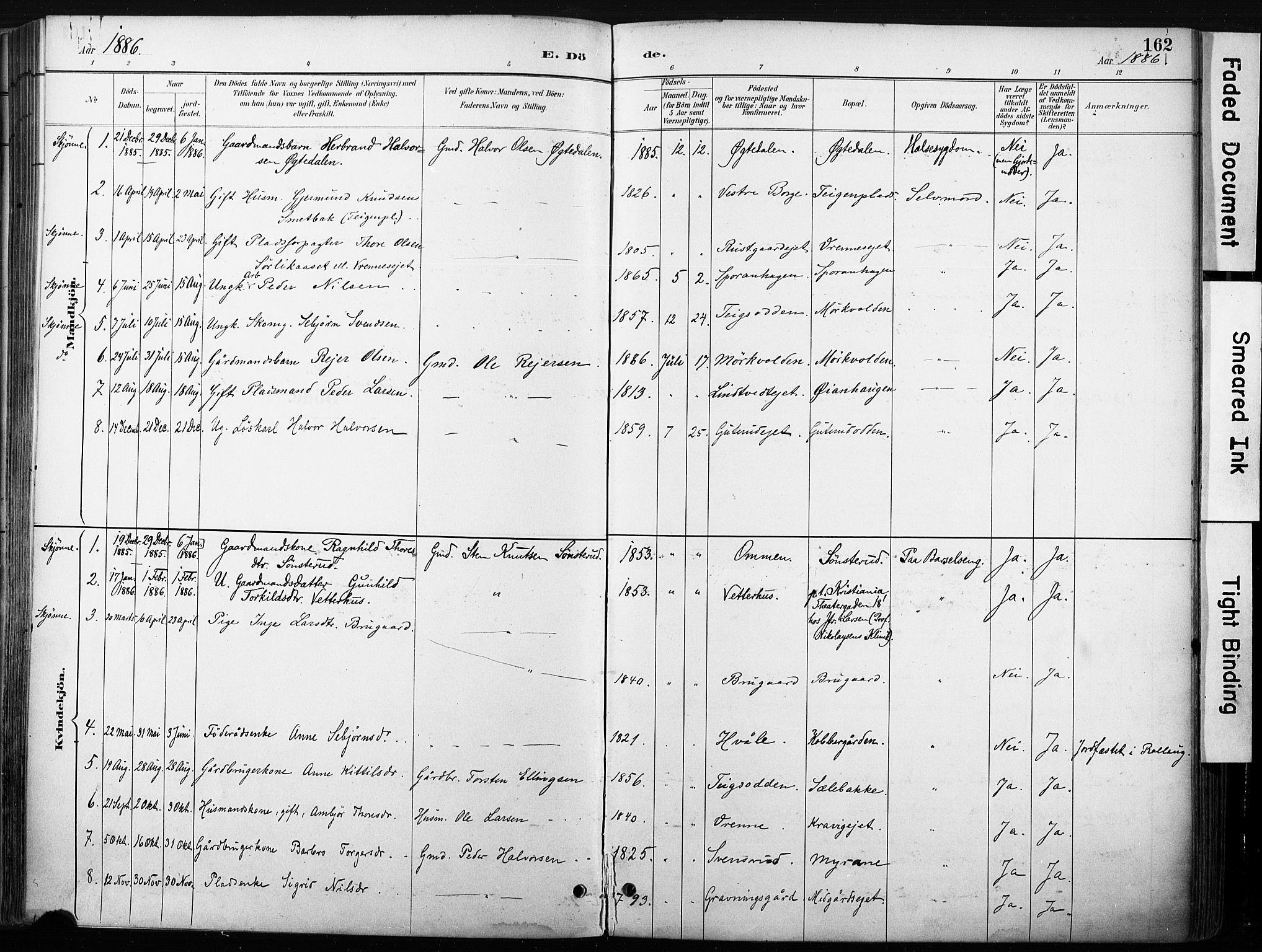 Nore kirkebøker, SAKO/A-238/F/Fb/L0002: Parish register (official) no. II 2, 1886-1906, p. 162