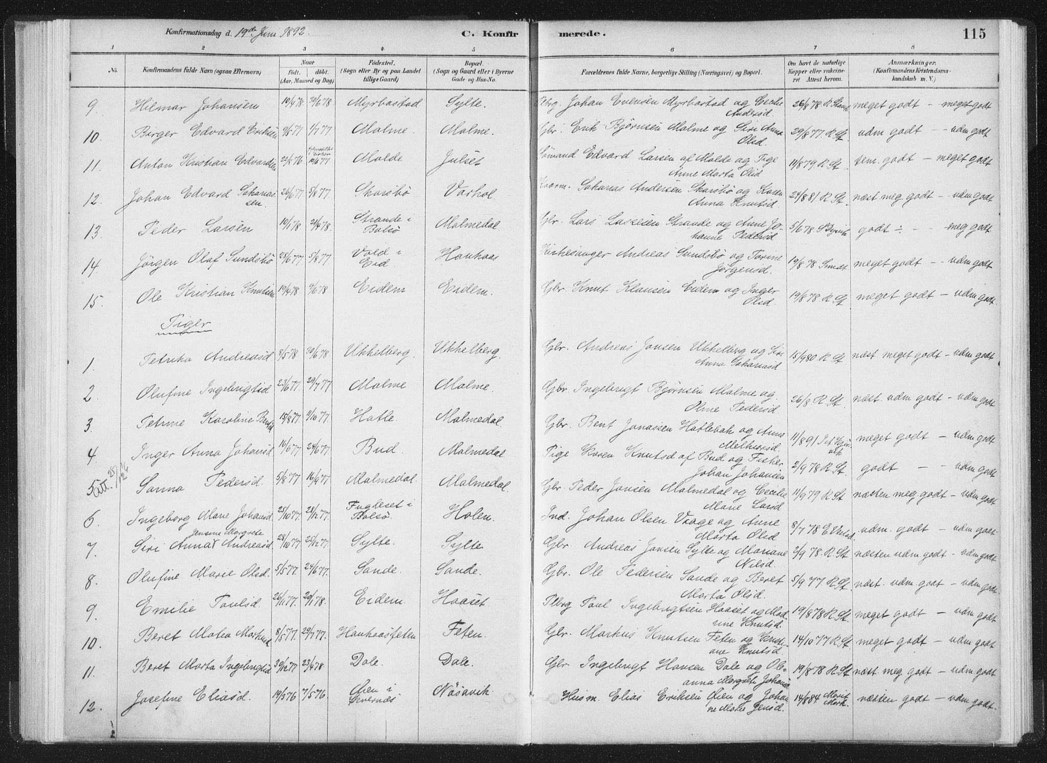 Ministerialprotokoller, klokkerbøker og fødselsregistre - Møre og Romsdal, AV/SAT-A-1454/564/L0740: Parish register (official) no. 564A01, 1880-1899, p. 115