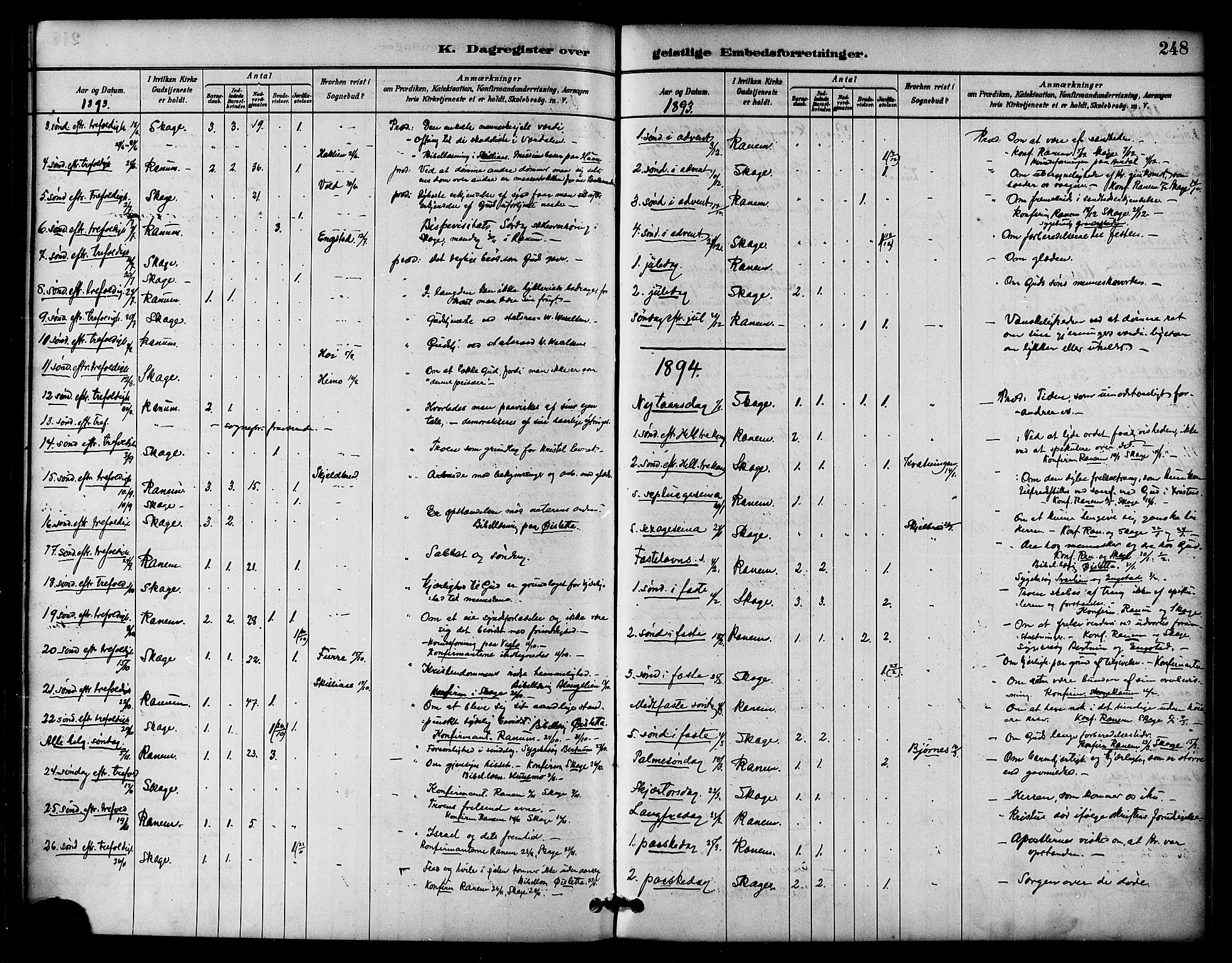 Ministerialprotokoller, klokkerbøker og fødselsregistre - Nord-Trøndelag, SAT/A-1458/764/L0555: Parish register (official) no. 764A10, 1881-1896, p. 248