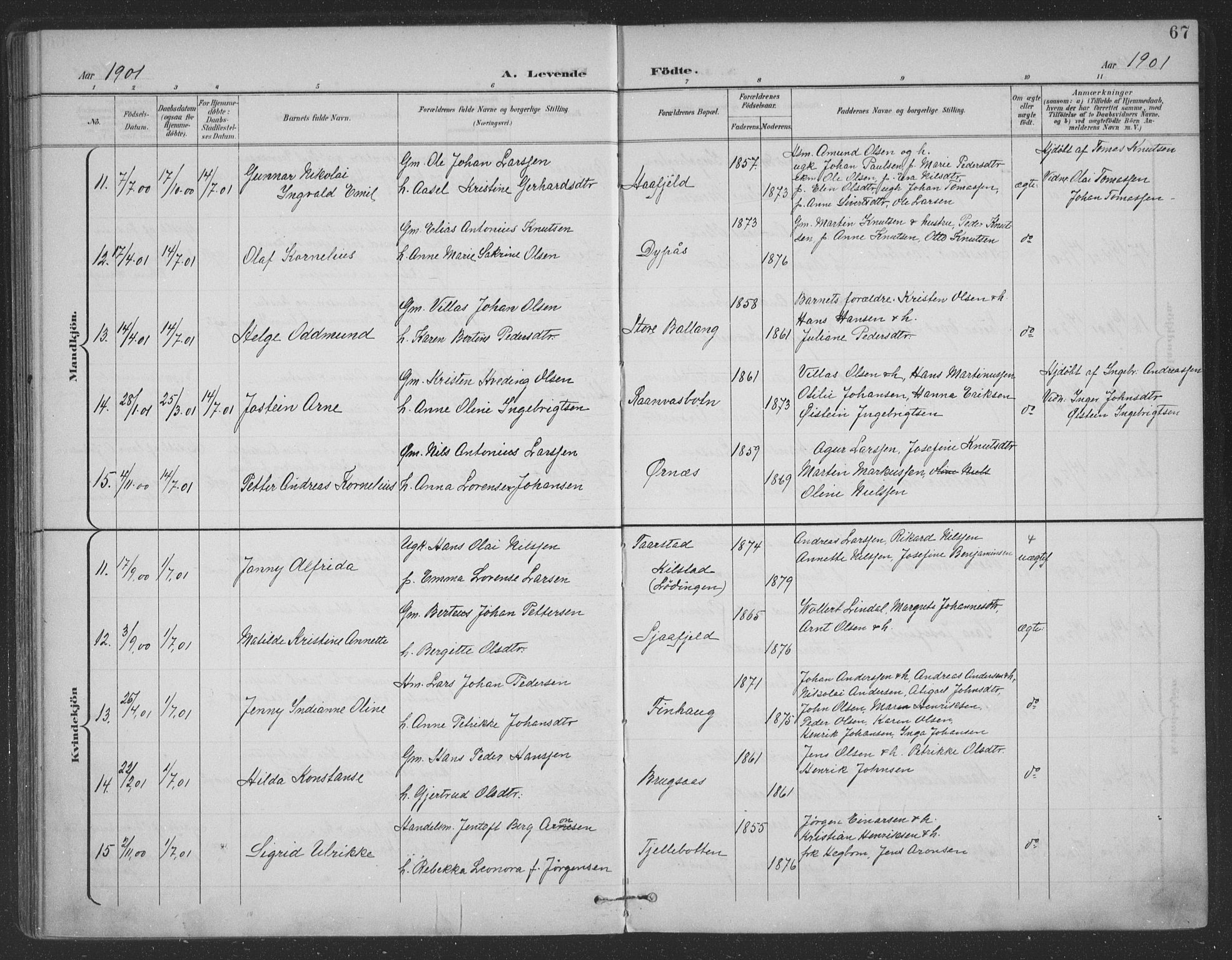Ministerialprotokoller, klokkerbøker og fødselsregistre - Nordland, SAT/A-1459/863/L0899: Parish register (official) no. 863A11, 1897-1906, p. 67