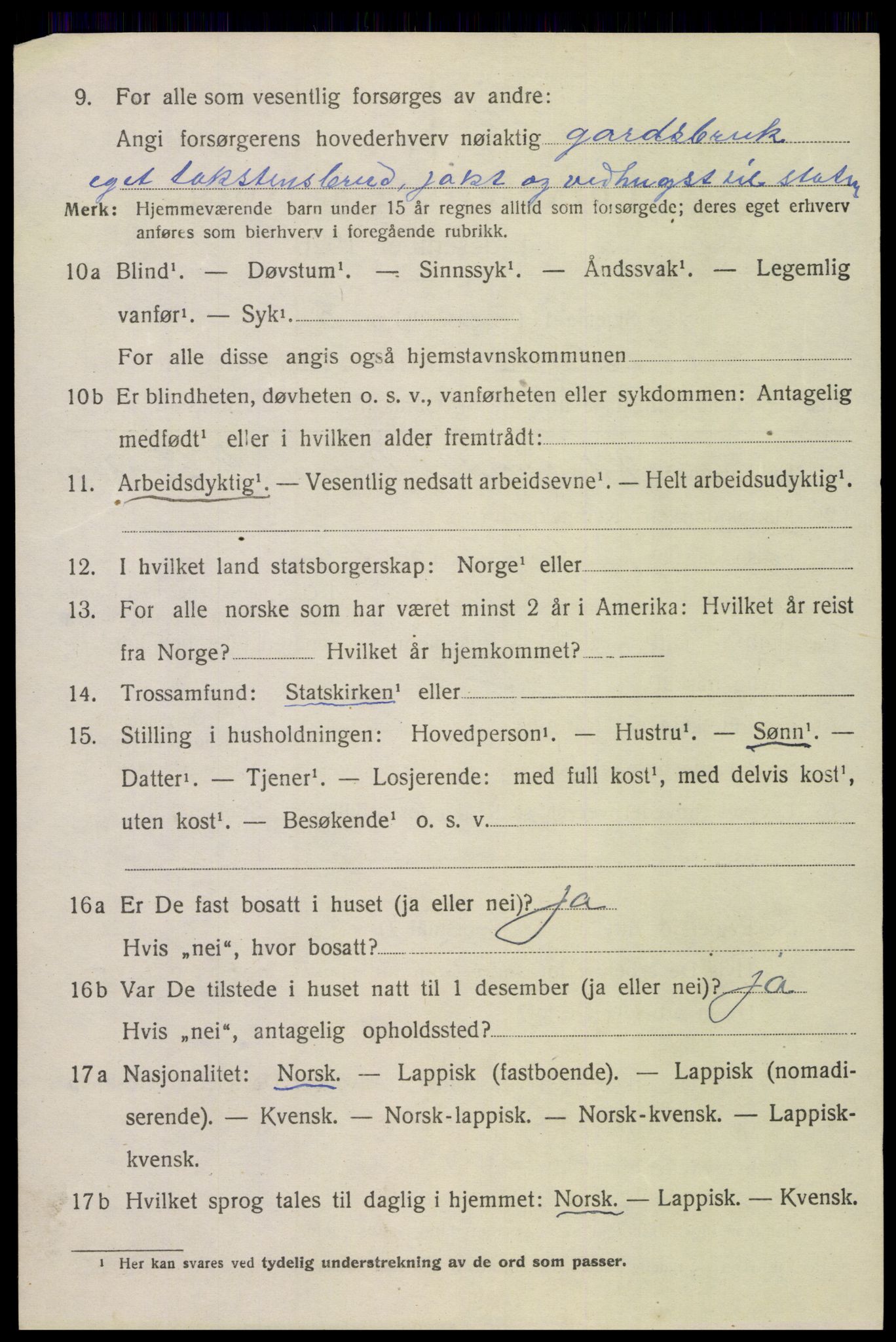 SAT, 1920 census for Saltdal, 1920, p. 8518