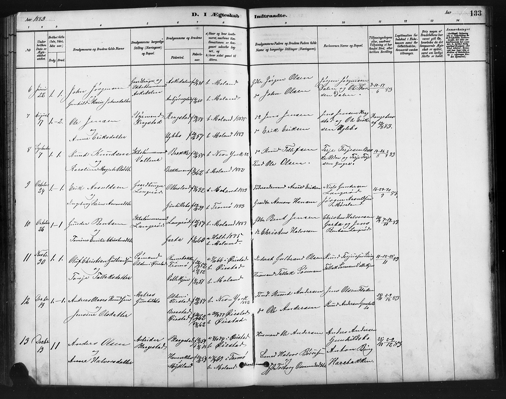 Austre Moland sokneprestkontor, AV/SAK-1111-0001/F/Fb/Fba/L0003: Parish register (copy) no. B 3, 1879-1914, p. 133