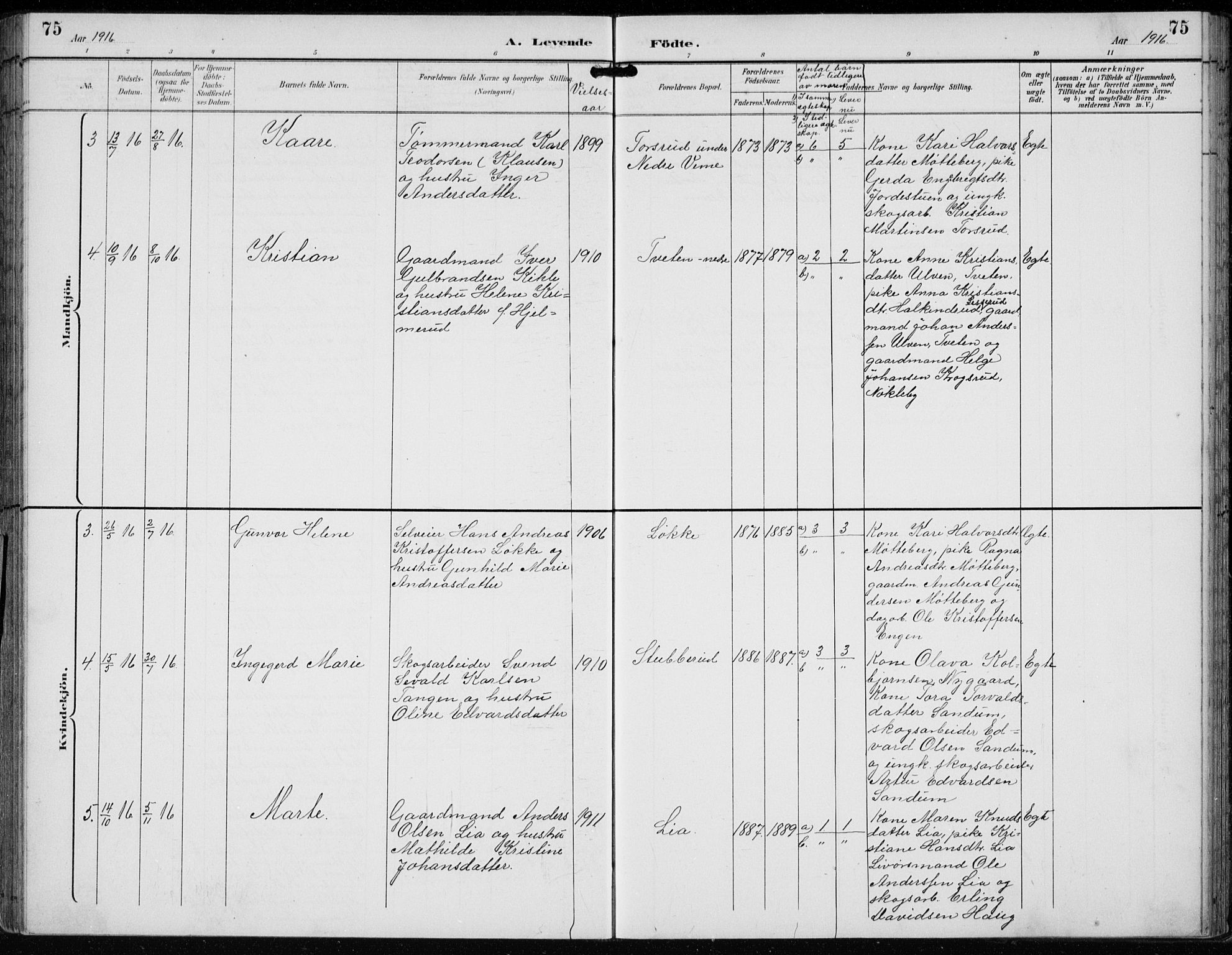 Lunder kirkebøker, AV/SAKO-A-629/F/Fb/L0001: Parish register (official) no. II 1, 1893-1916, p. 75