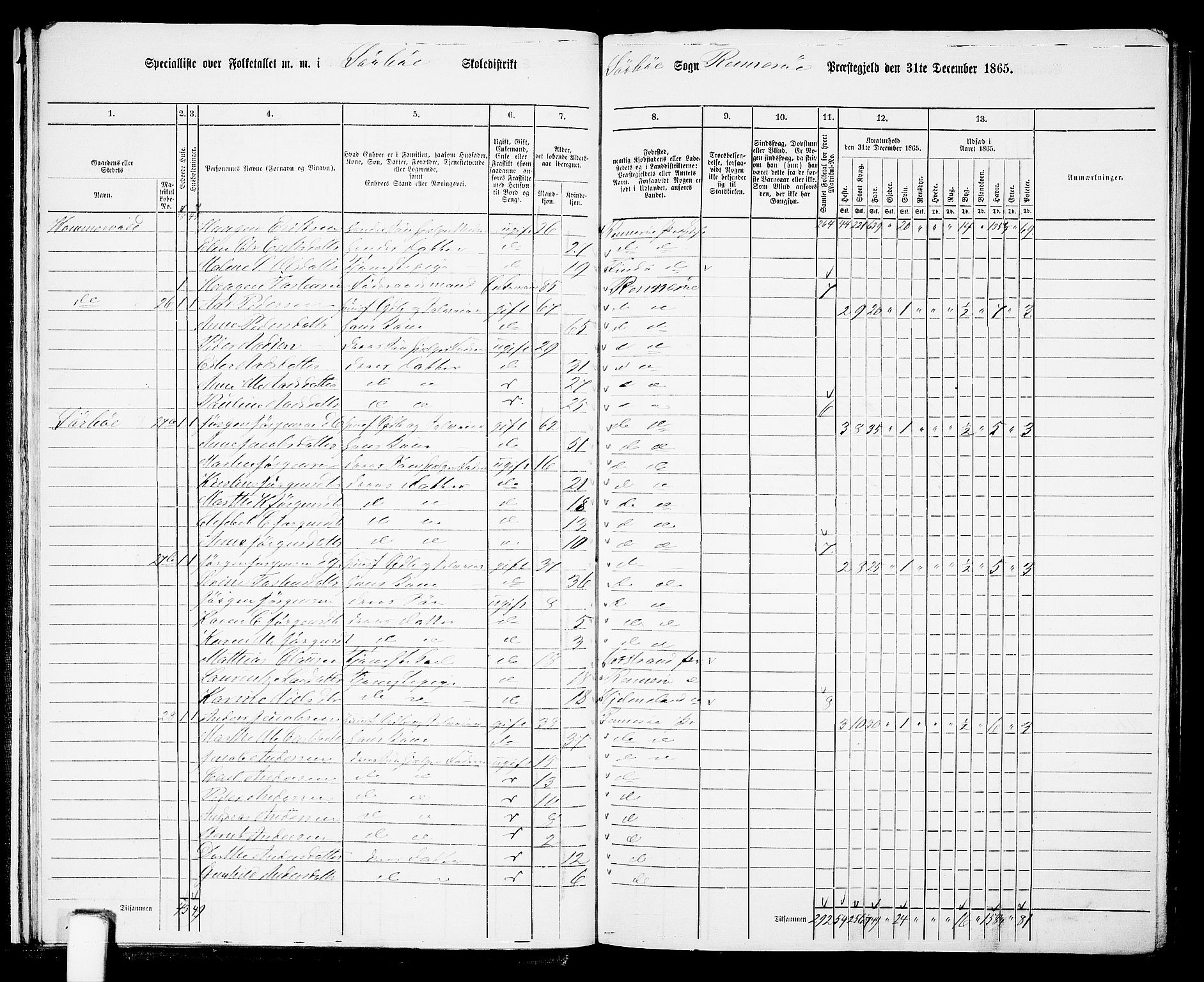 RA, 1865 census for Rennesøy, 1865, p. 19