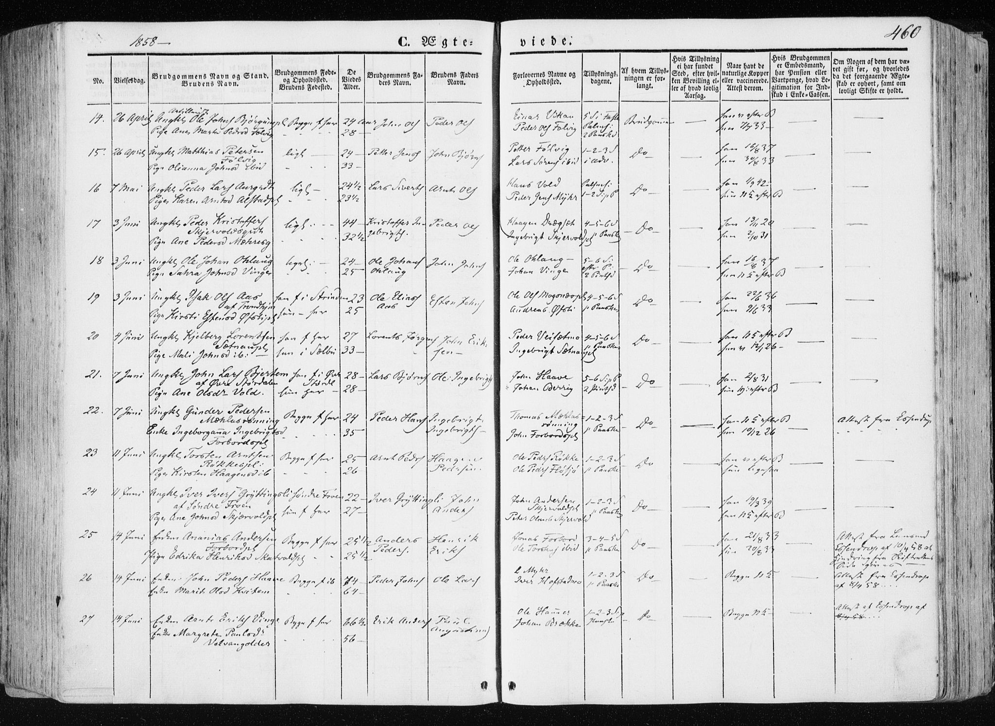 Ministerialprotokoller, klokkerbøker og fødselsregistre - Nord-Trøndelag, SAT/A-1458/709/L0074: Parish register (official) no. 709A14, 1845-1858, p. 460