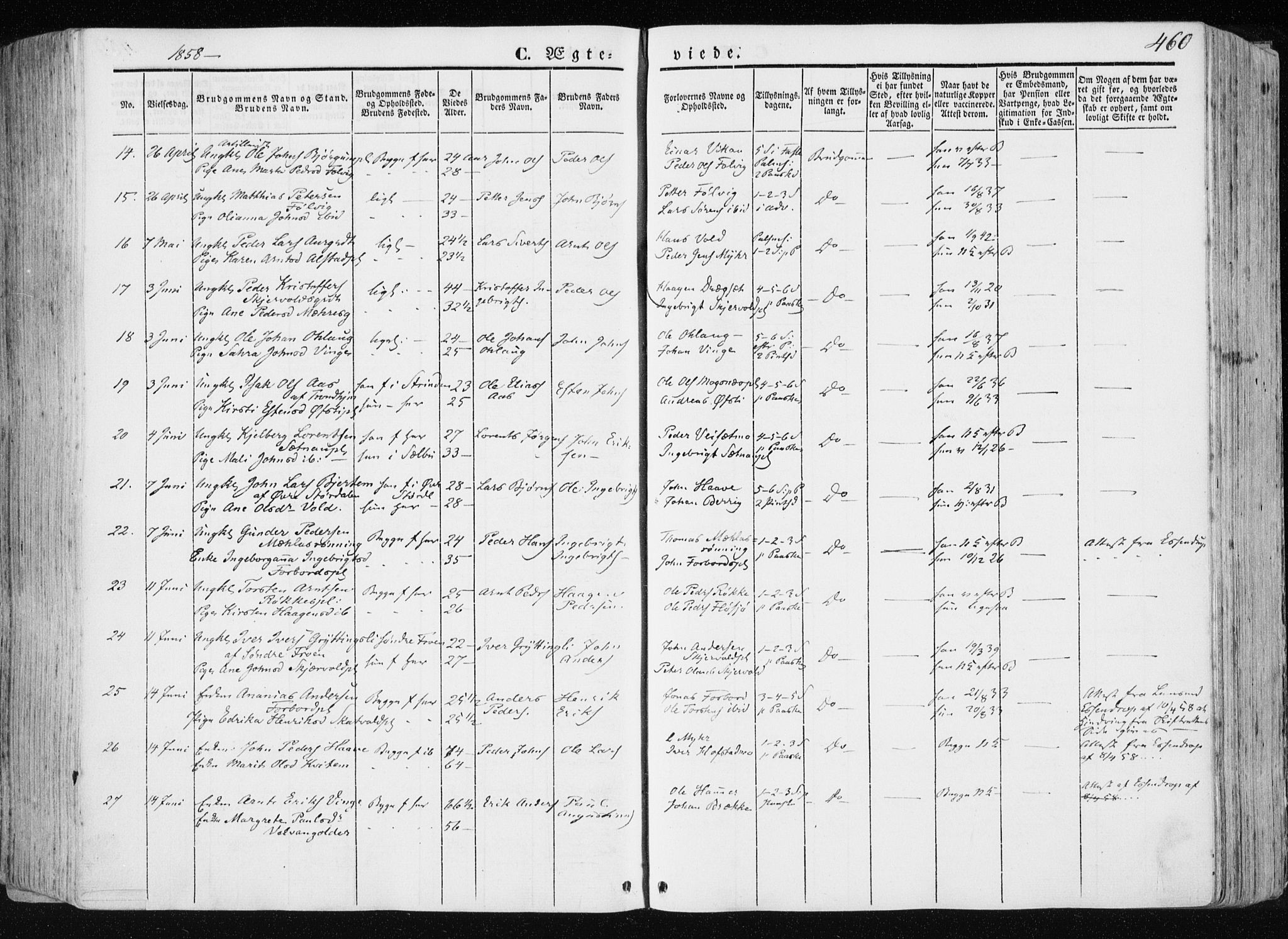 Ministerialprotokoller, klokkerbøker og fødselsregistre - Nord-Trøndelag, AV/SAT-A-1458/709/L0074: Parish register (official) no. 709A14, 1845-1858, p. 460