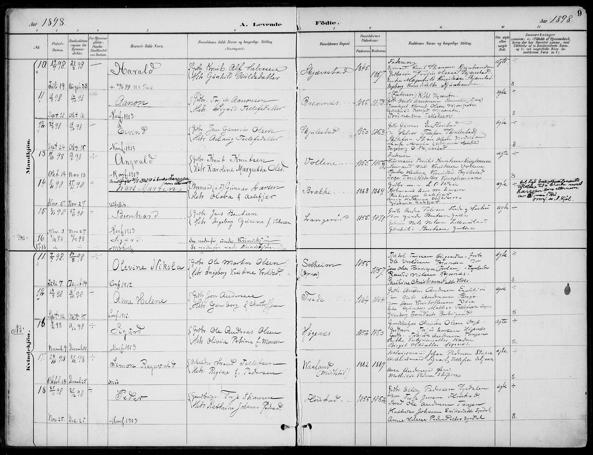 Austre Moland sokneprestkontor, AV/SAK-1111-0001/F/Fa/Faa/L0011: Parish register (official) no. A 11, 1894-1915, p. 9