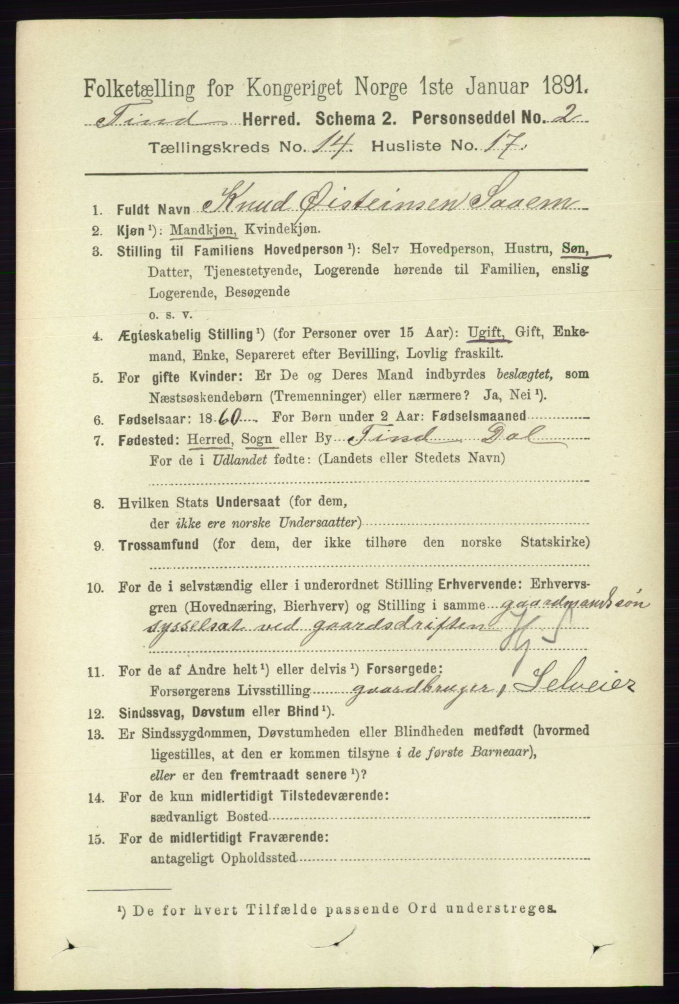 RA, 1891 census for 0826 Tinn, 1891, p. 2950