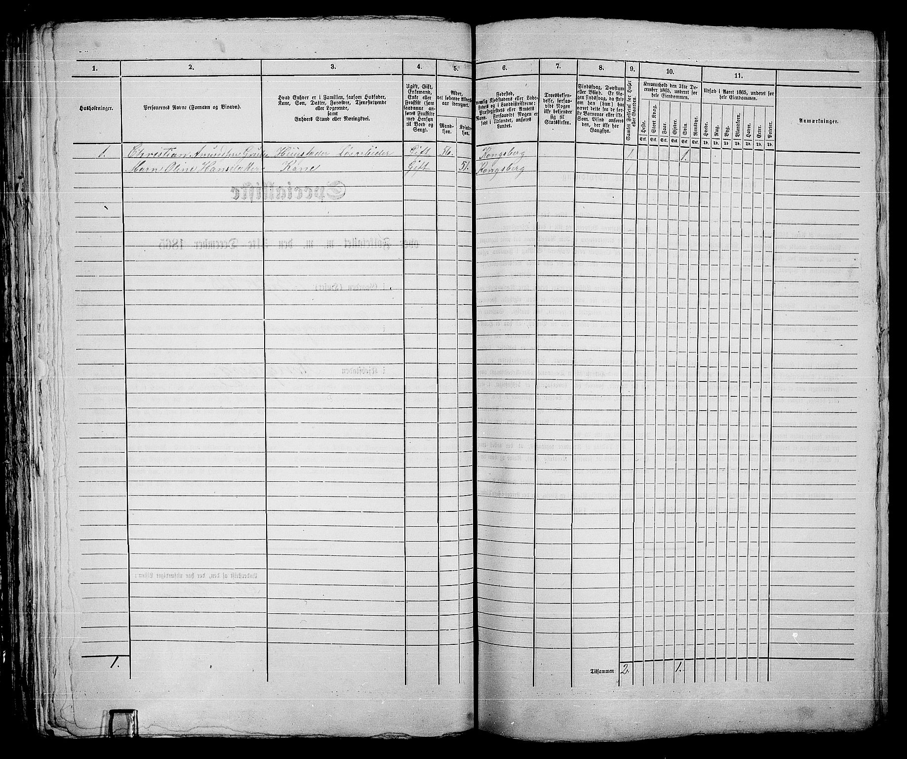 RA, 1865 census for Kongsberg/Kongsberg, 1865, p. 602