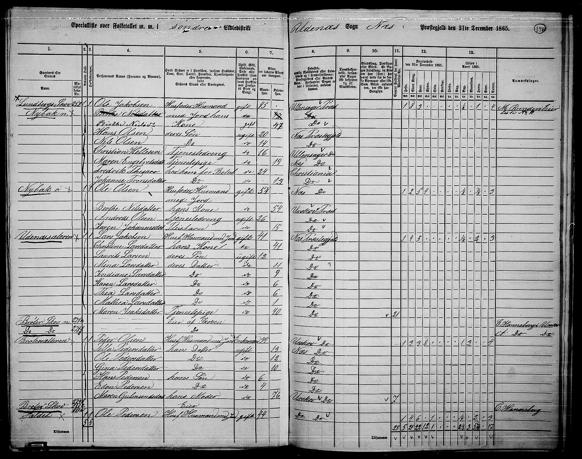 RA, 1865 census for Nes, 1865, p. 342