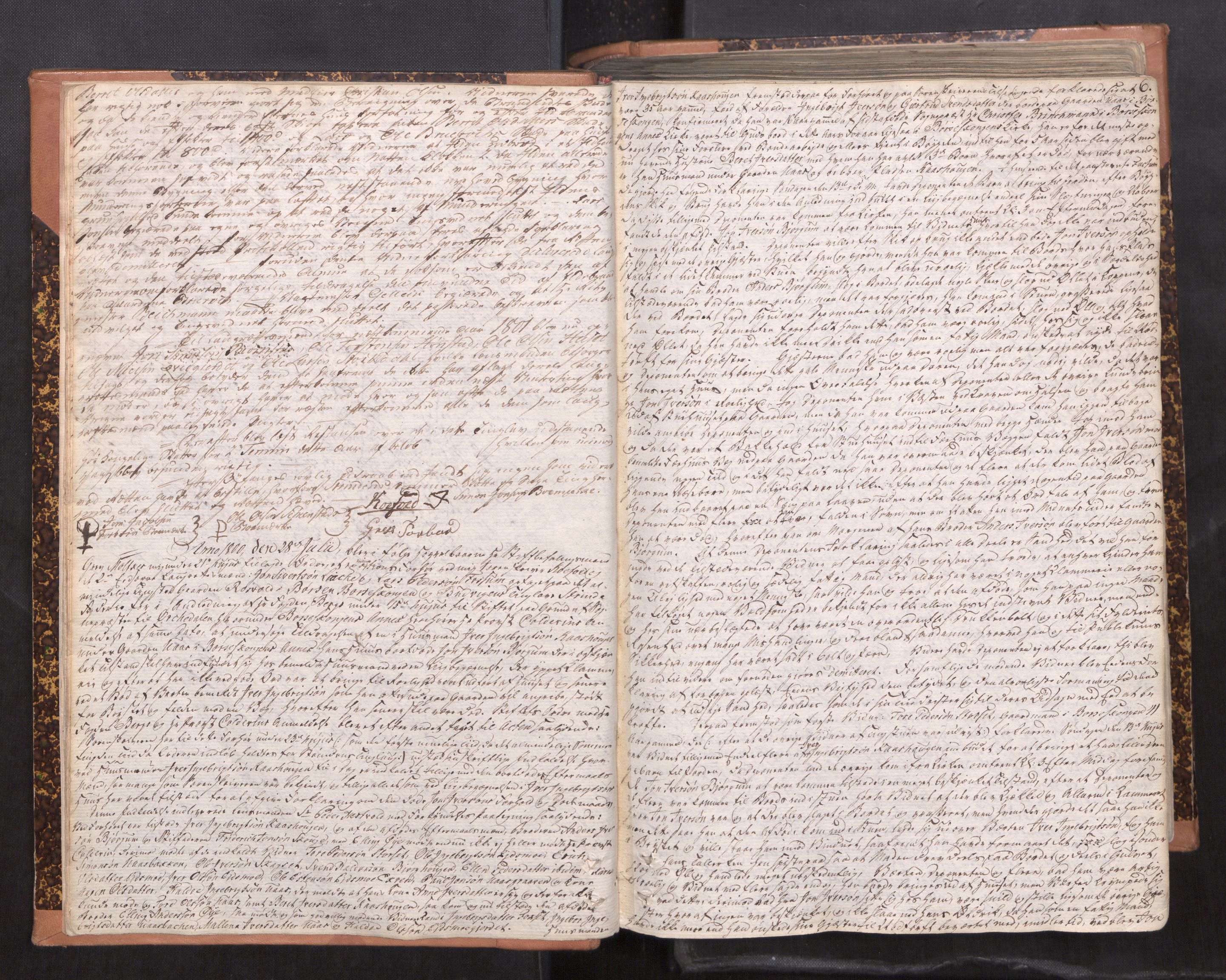Strinda og Selbu sorenskriveri, AV/SAT-A-0015/1/1A/L0017: Tingbok 16, 1800-1805, p. 5b-6a