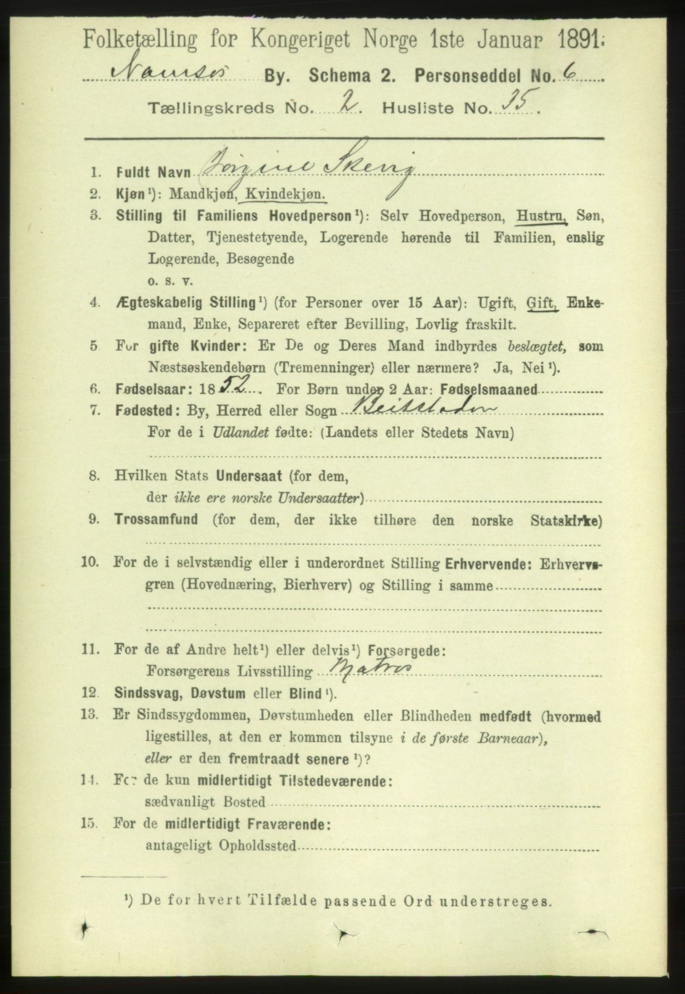 RA, 1891 census for 1703 Namsos, 1891, p. 907