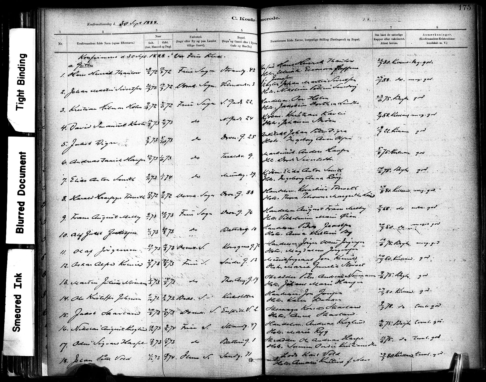 Ministerialprotokoller, klokkerbøker og fødselsregistre - Sør-Trøndelag, SAT/A-1456/602/L0119: Parish register (official) no. 602A17, 1880-1901, p. 175