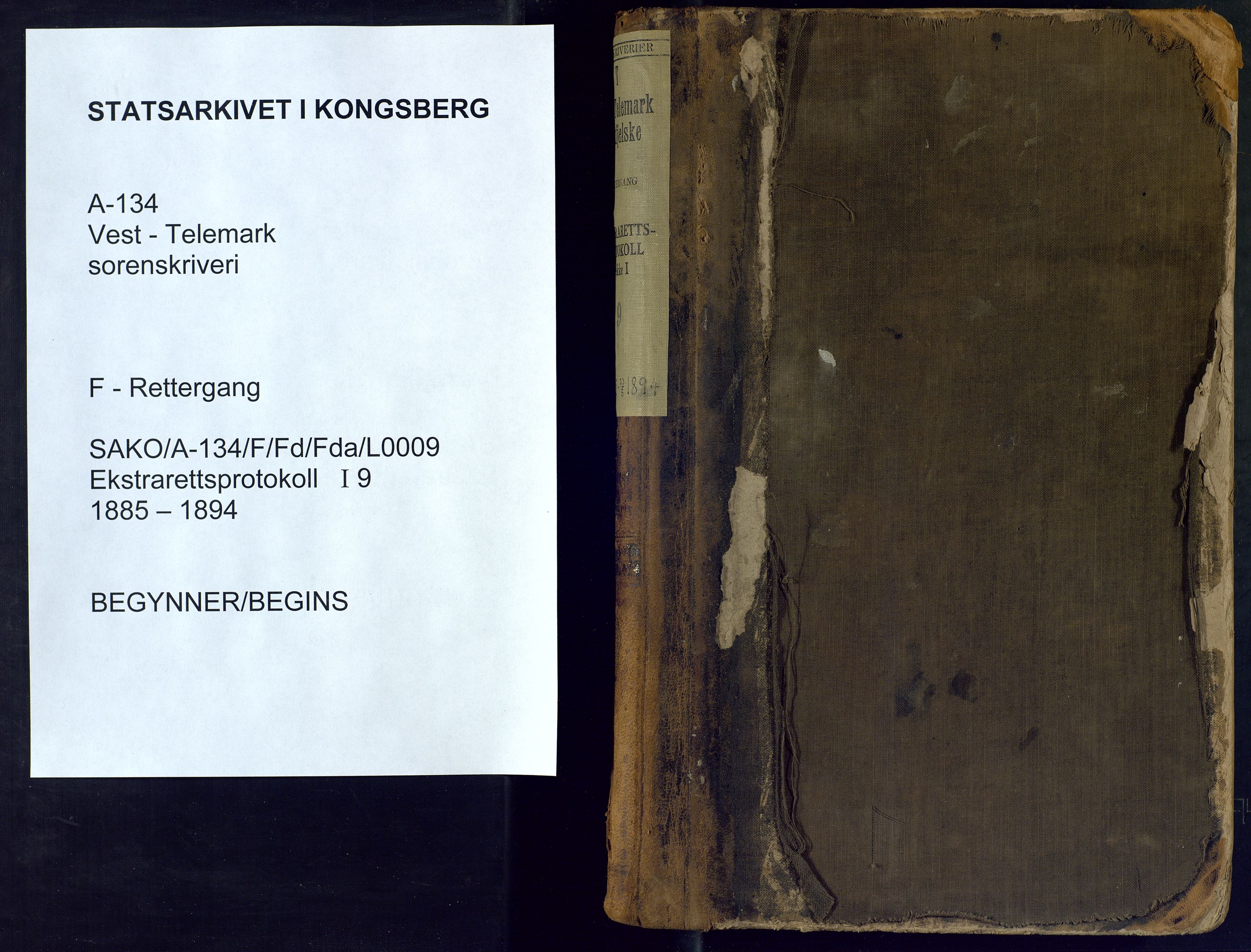 Vest-Telemark sorenskriveri, SAKO/A-134/F/Fd/Fda/L0009: Ekstrarettsprotokoll, 1885-1894