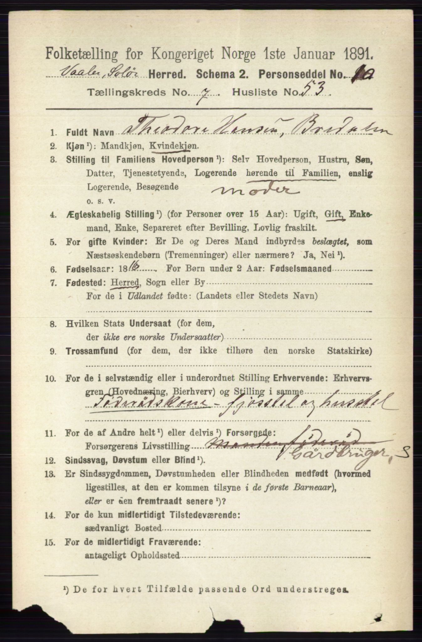 RA, 1891 census for 0426 Våler, 1891, p. 3255