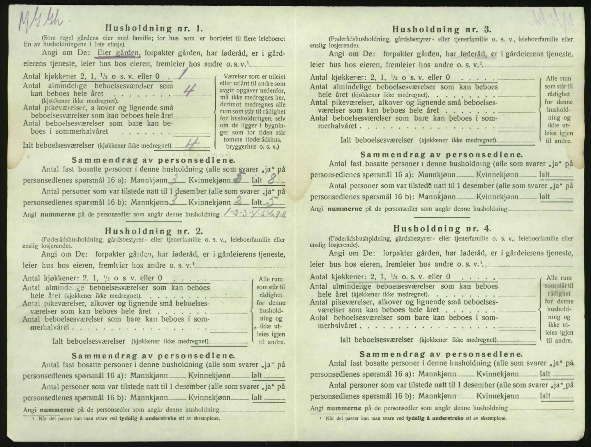 SAKO, 1920 census for Brunlanes, 1920, p. 504