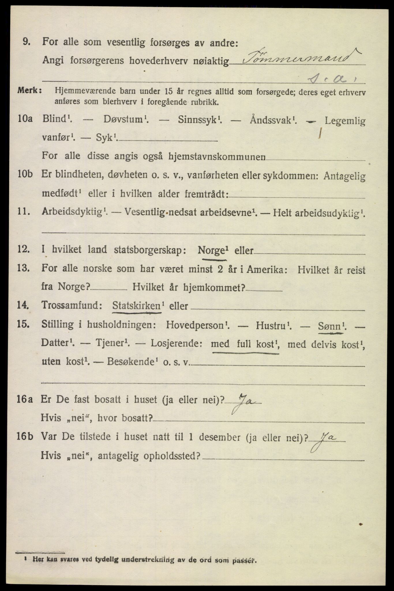 SAH, 1920 census for Kolbu, 1920, p. 4629