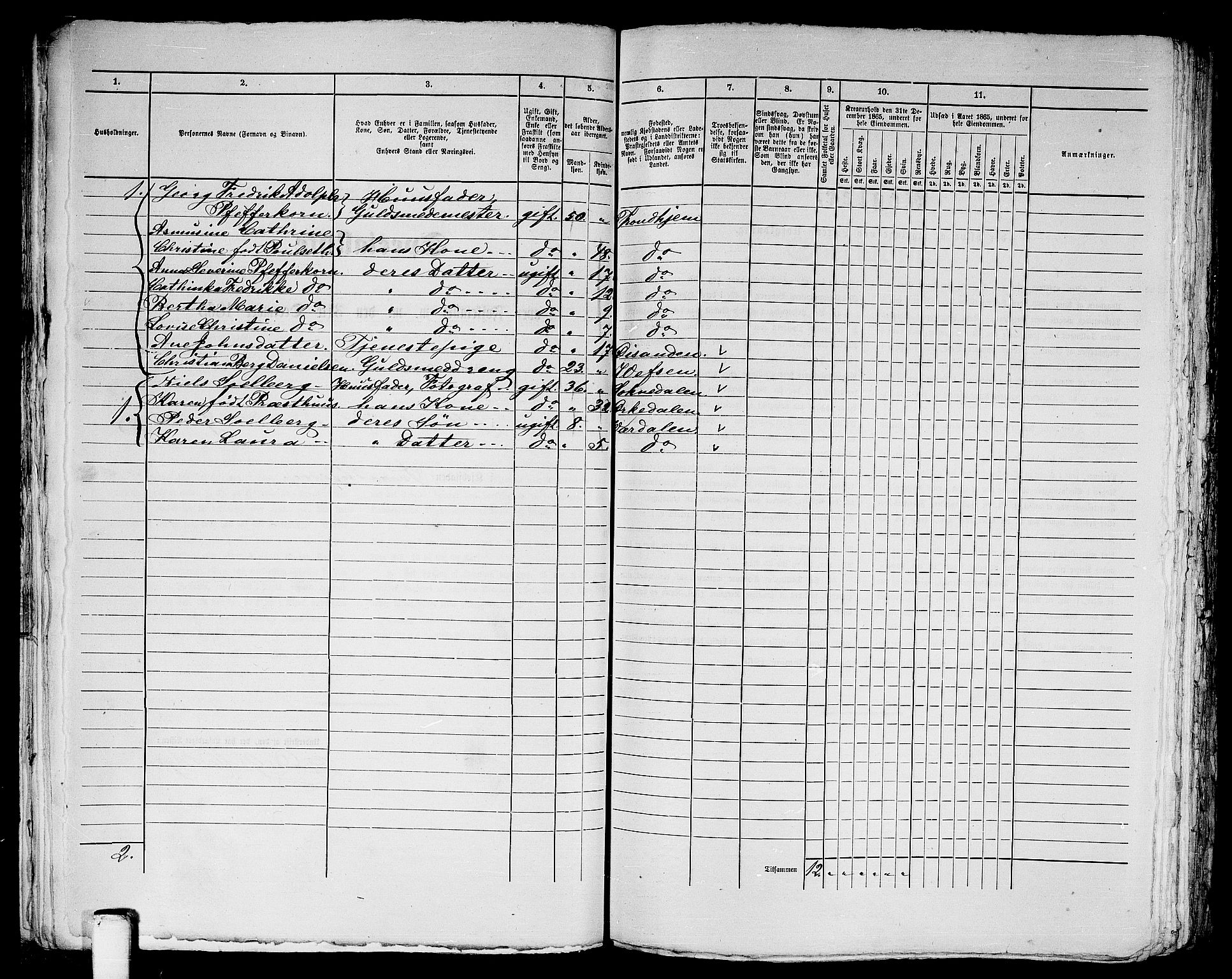 RA, 1865 census for Trondheim, 1865, p. 1243