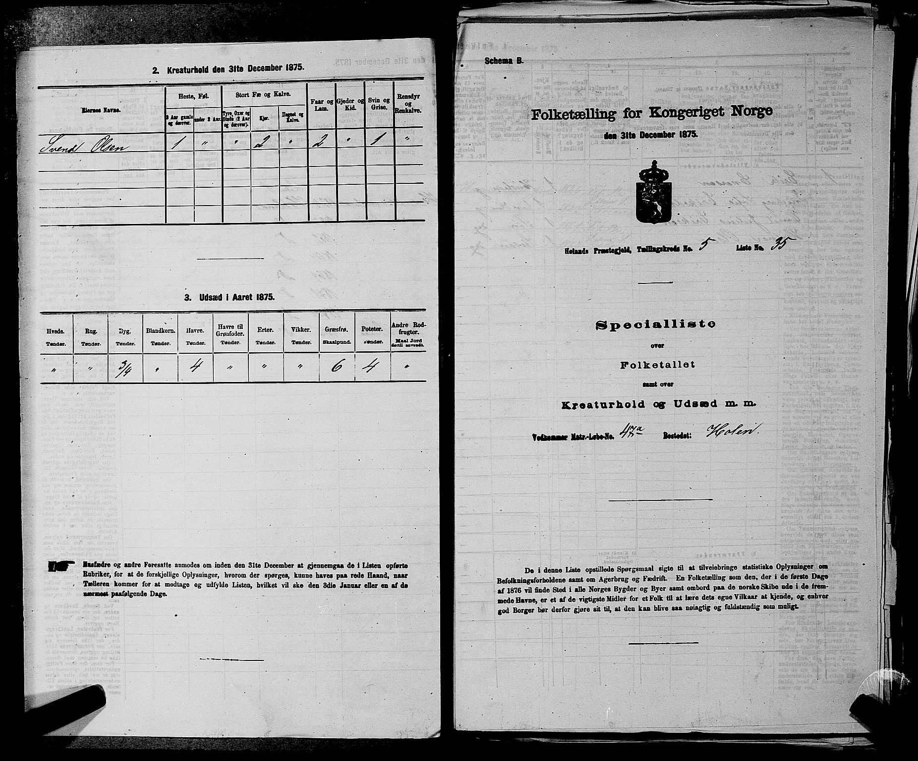 RA, 1875 census for 0221P Høland, 1875, p. 790