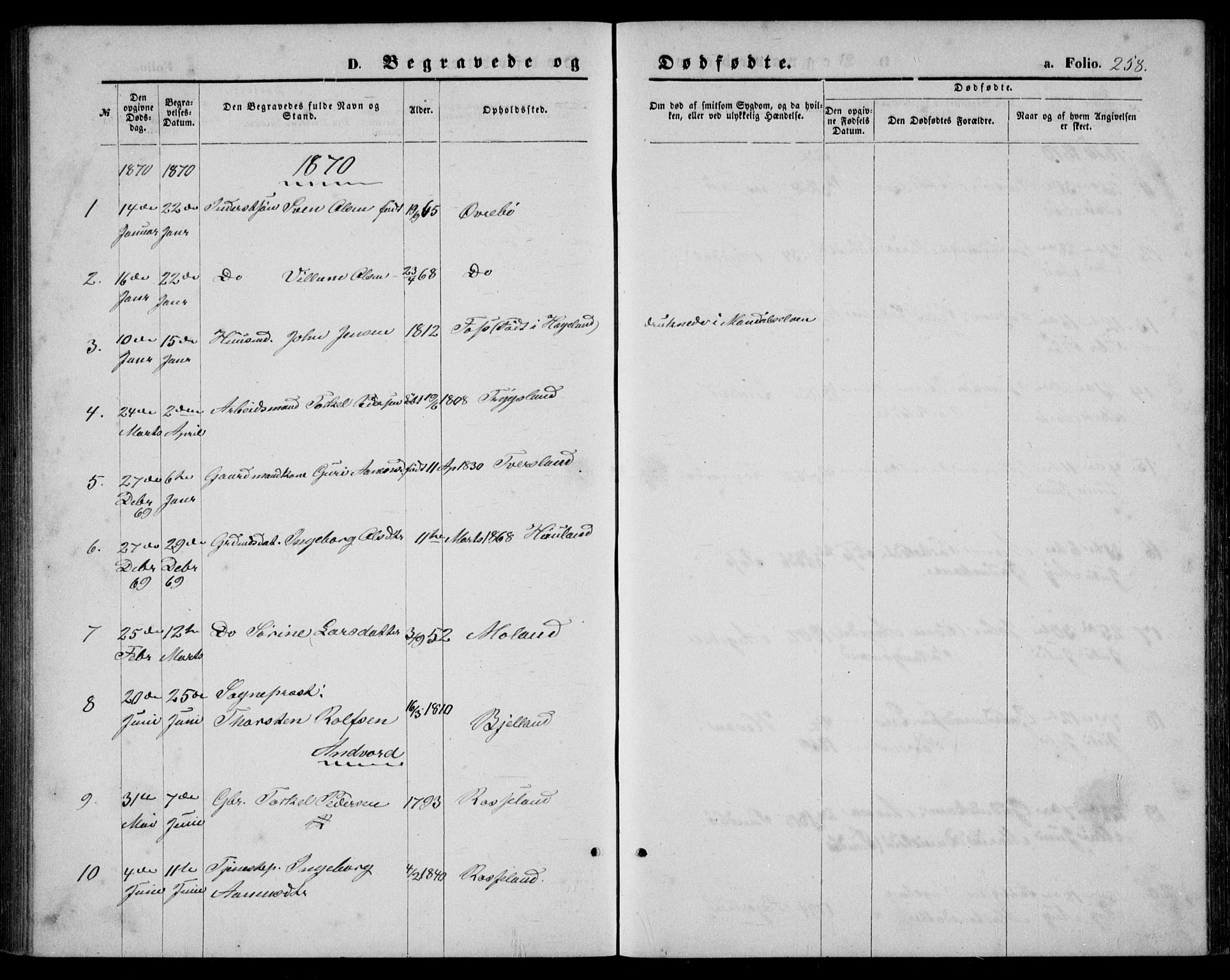 Bjelland sokneprestkontor, AV/SAK-1111-0005/F/Fb/Fba/L0004: Parish register (copy) no. B 4, 1869-1886, p. 258