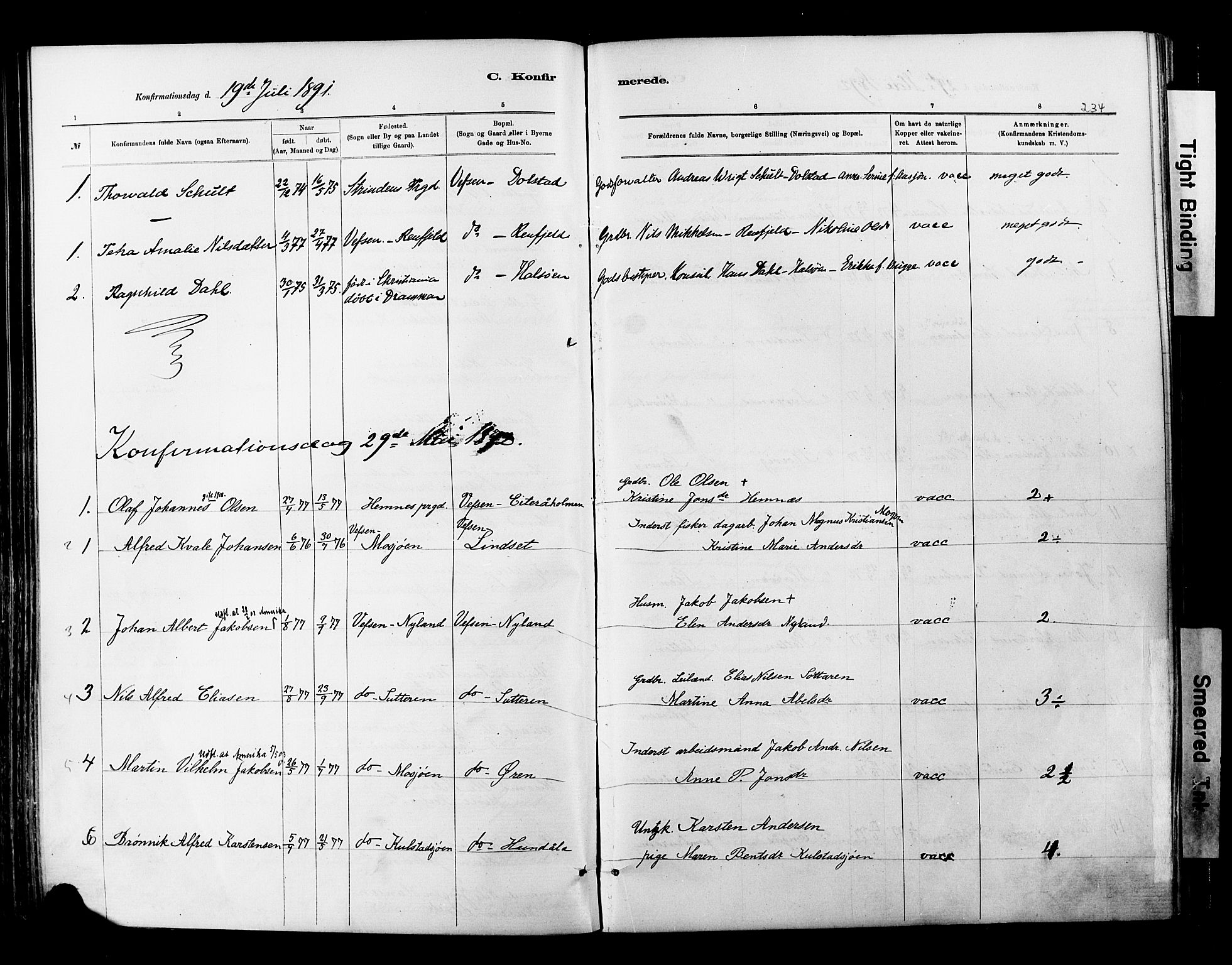 Ministerialprotokoller, klokkerbøker og fødselsregistre - Nordland, SAT/A-1459/820/L0295: Parish register (official) no. 820A16, 1880-1896, p. 234
