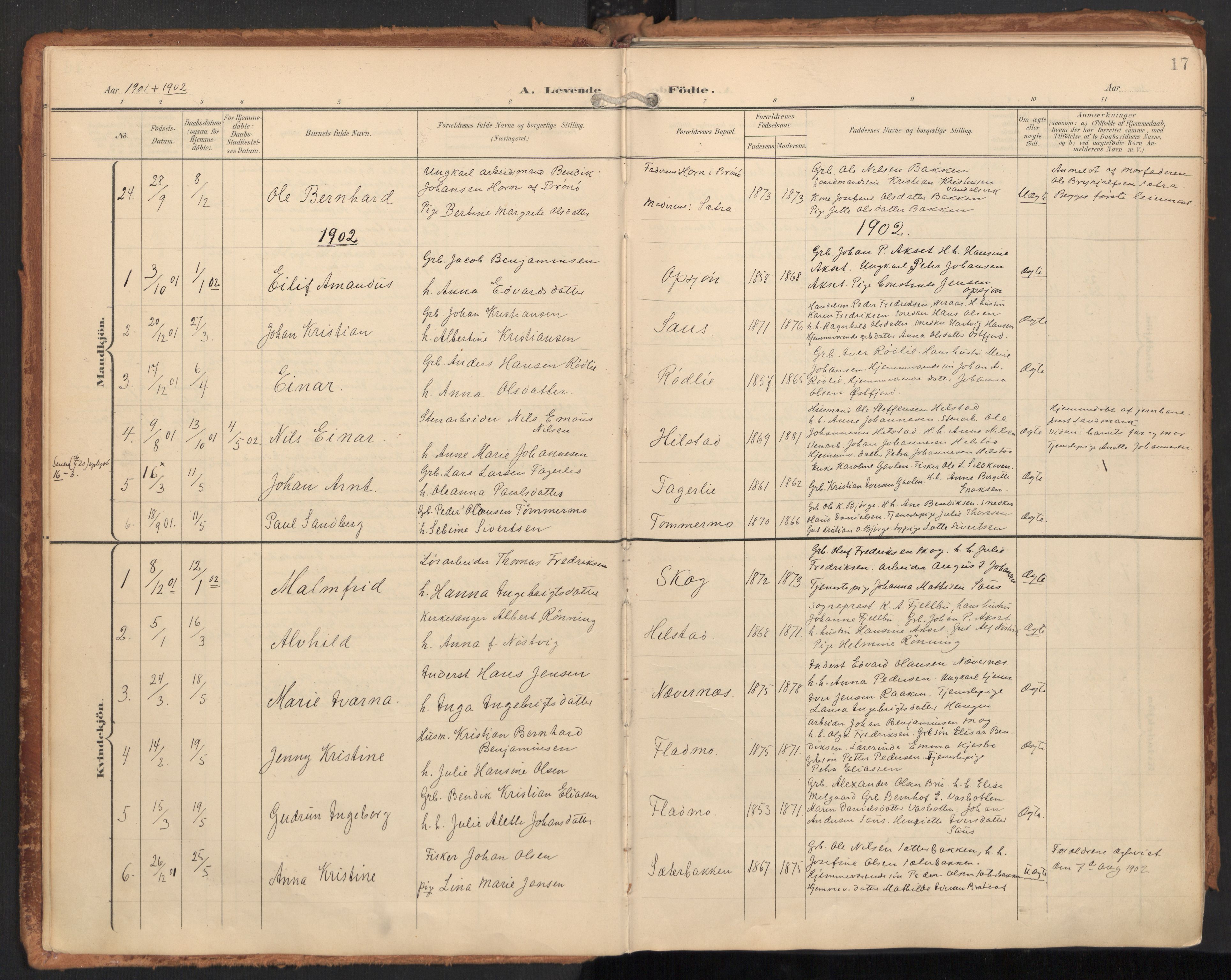 Ministerialprotokoller, klokkerbøker og fødselsregistre - Nordland, SAT/A-1459/814/L0227: Parish register (official) no. 814A08, 1899-1920, p. 17