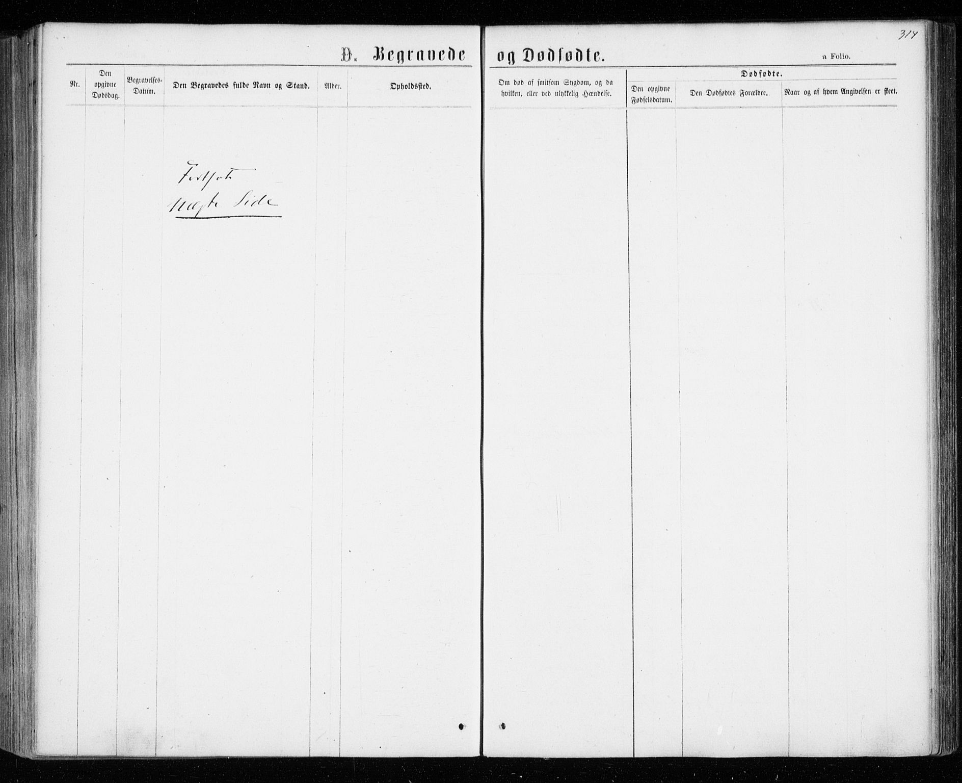 Tranøy sokneprestkontor, AV/SATØ-S-1313/I/Ia/Iaa/L0008kirke: Parish register (official) no. 8, 1867-1877, p. 314