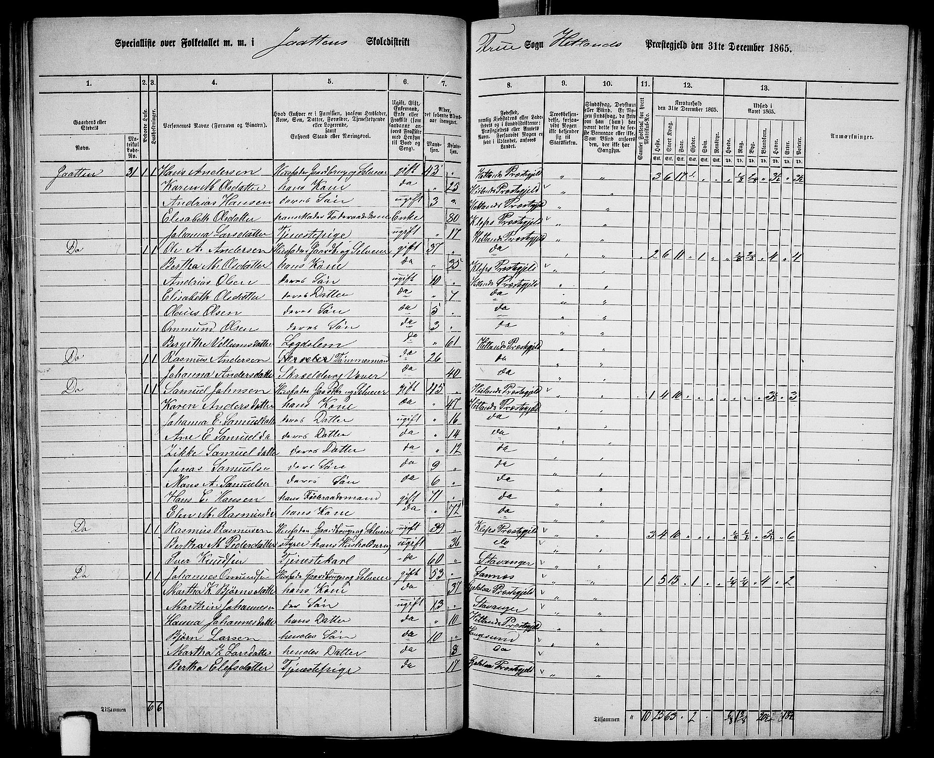 RA, 1865 census for Hetland, 1865, p. 95