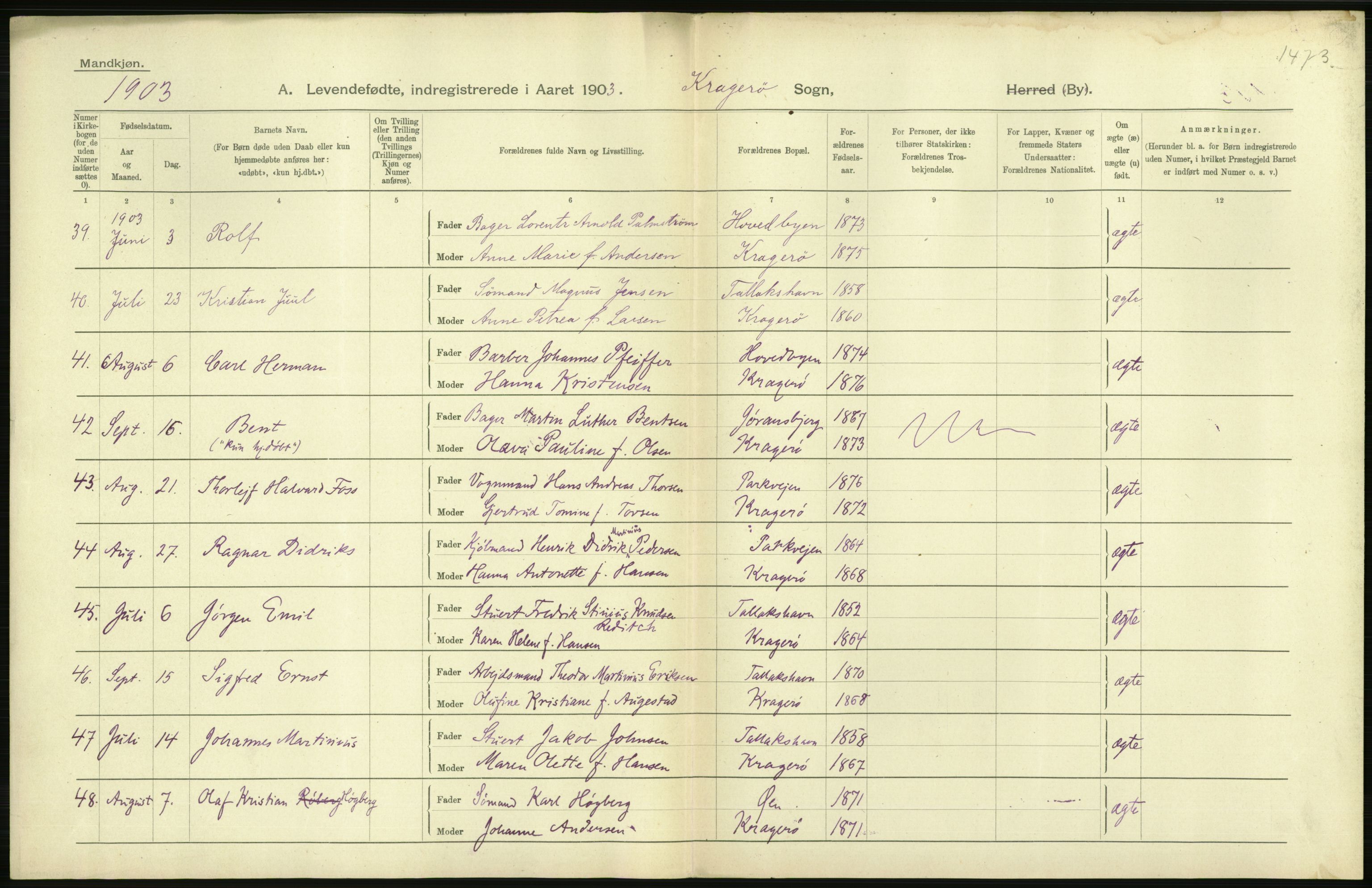 Statistisk sentralbyrå, Sosiodemografiske emner, Befolkning, AV/RA-S-2228/D/Df/Dfa/Dfaa/L0009: Bratsberg amt: Fødte, gifte, døde, 1903, p. 344