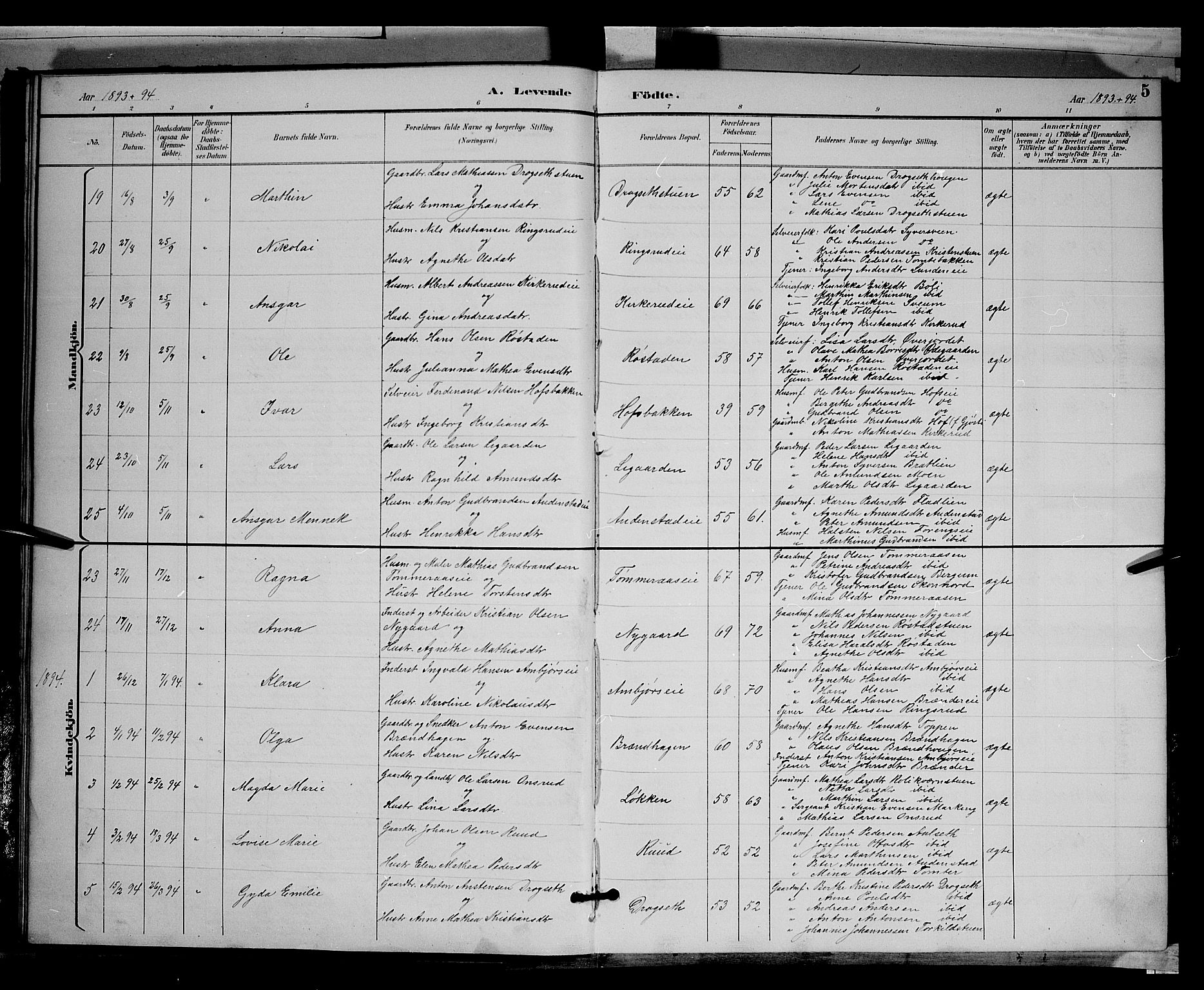 Biri prestekontor, SAH/PREST-096/H/Ha/Hab/L0003: Parish register (copy) no. 3, 1892-1905, p. 5