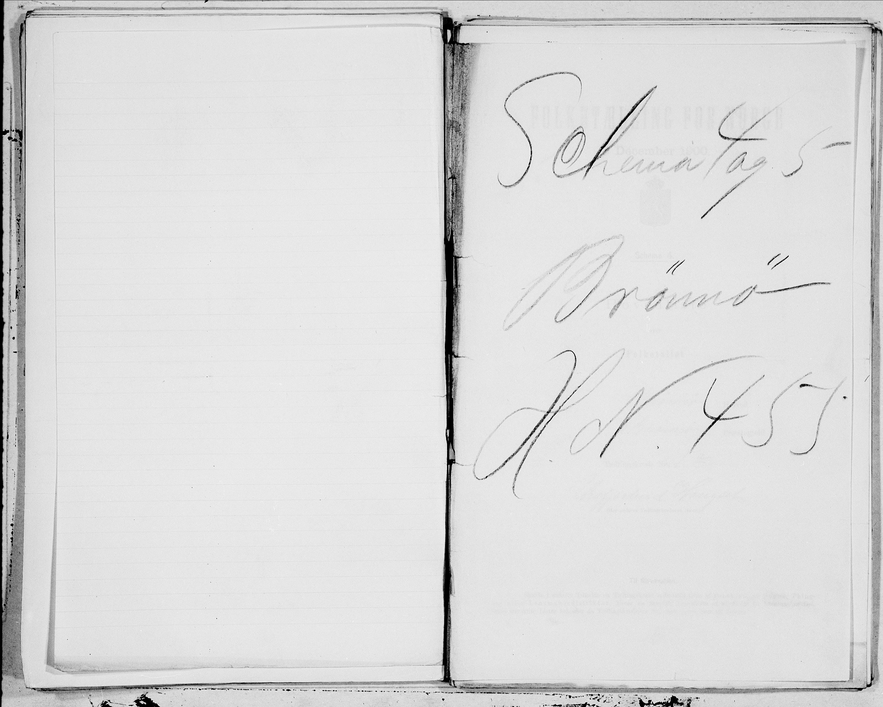 SAT, 1900 census for Brønnøy, 1900, p. 1