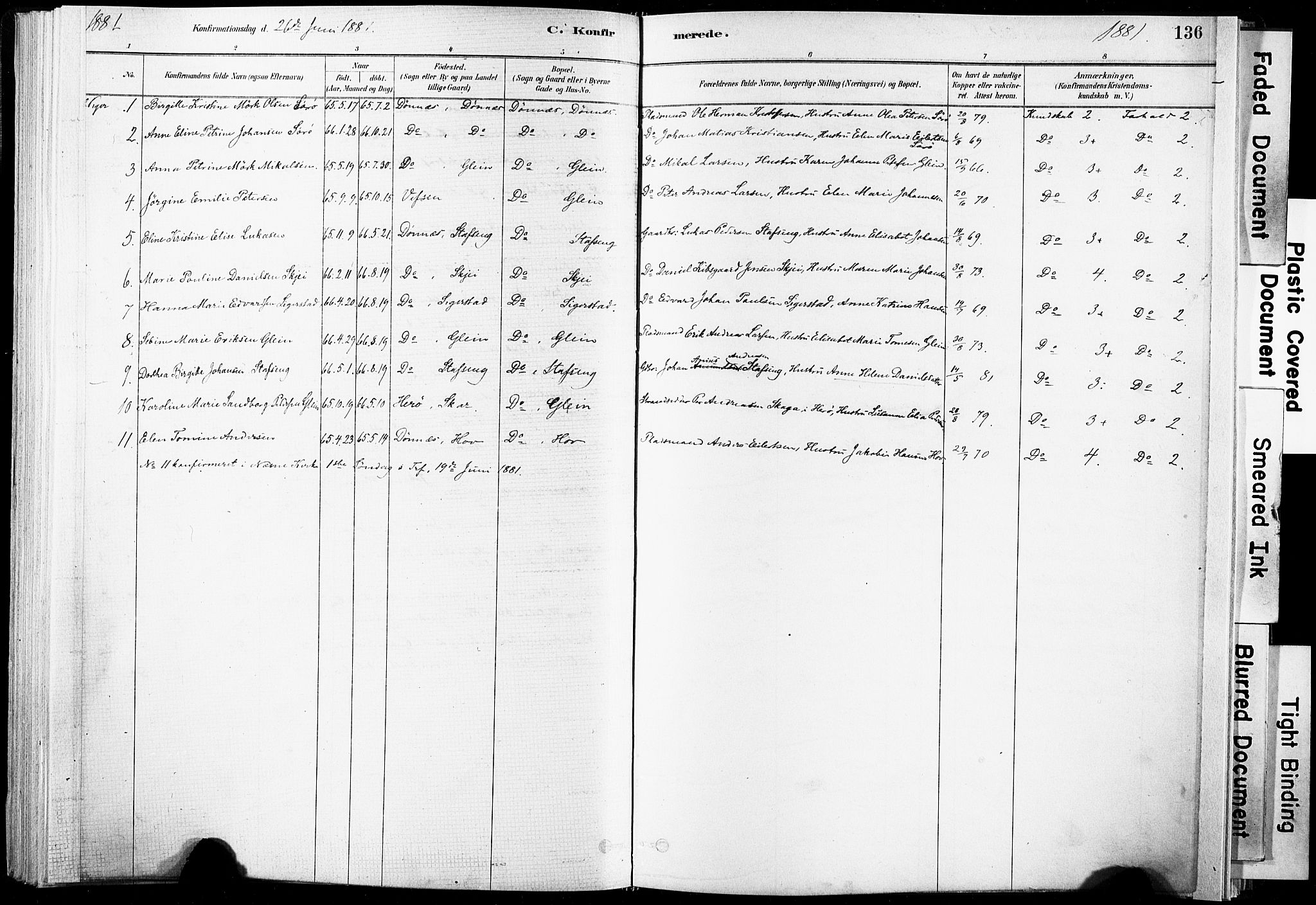 Ministerialprotokoller, klokkerbøker og fødselsregistre - Nordland, SAT/A-1459/835/L0525: Parish register (official) no. 835A03I, 1881-1910, p. 136