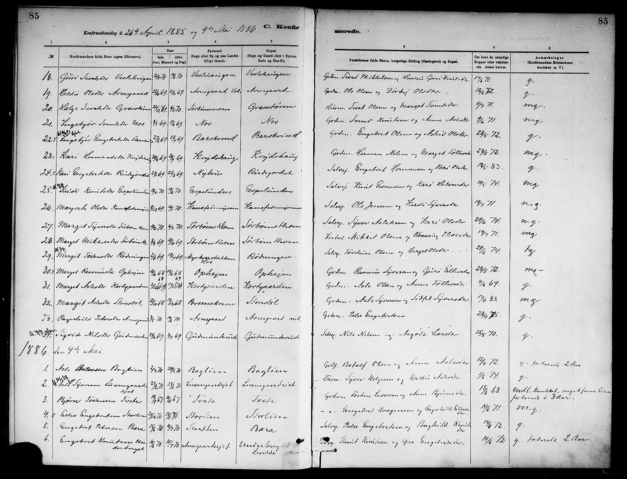 Ål kirkebøker, SAKO/A-249/F/Fa/L0008: Parish register (official) no. I 8, 1882-1896, p. 85