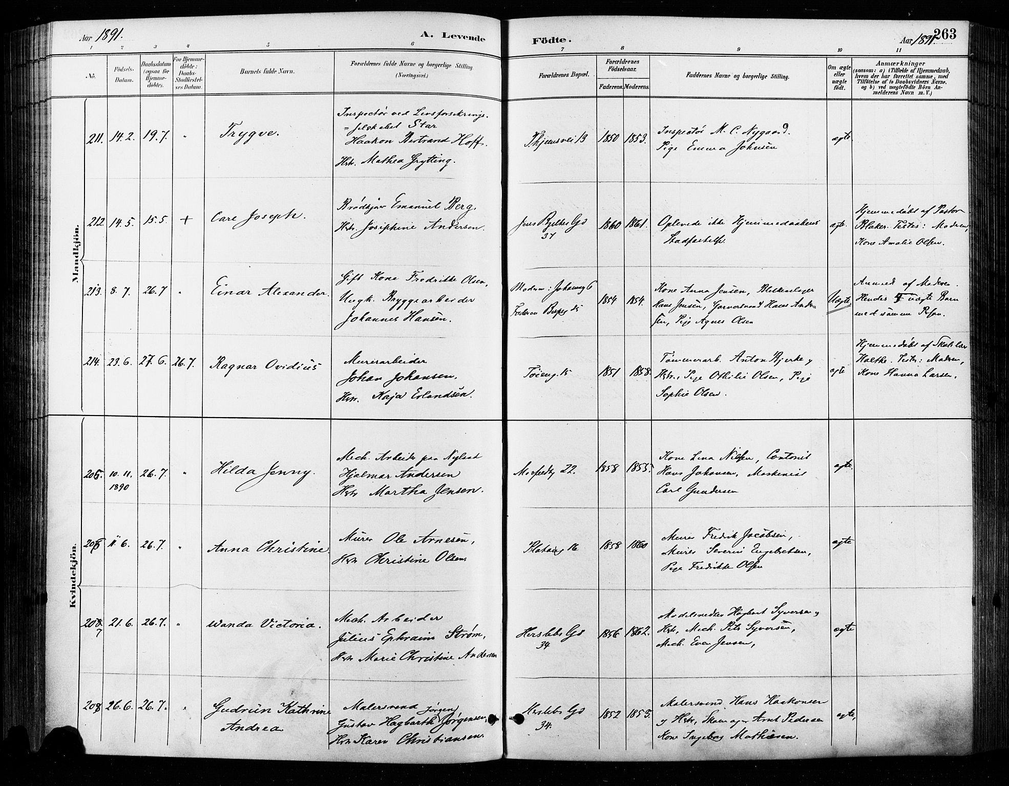 Grønland prestekontor Kirkebøker, SAO/A-10848/F/Fa/L0009: Parish register (official) no. 9, 1888-1893, p. 263