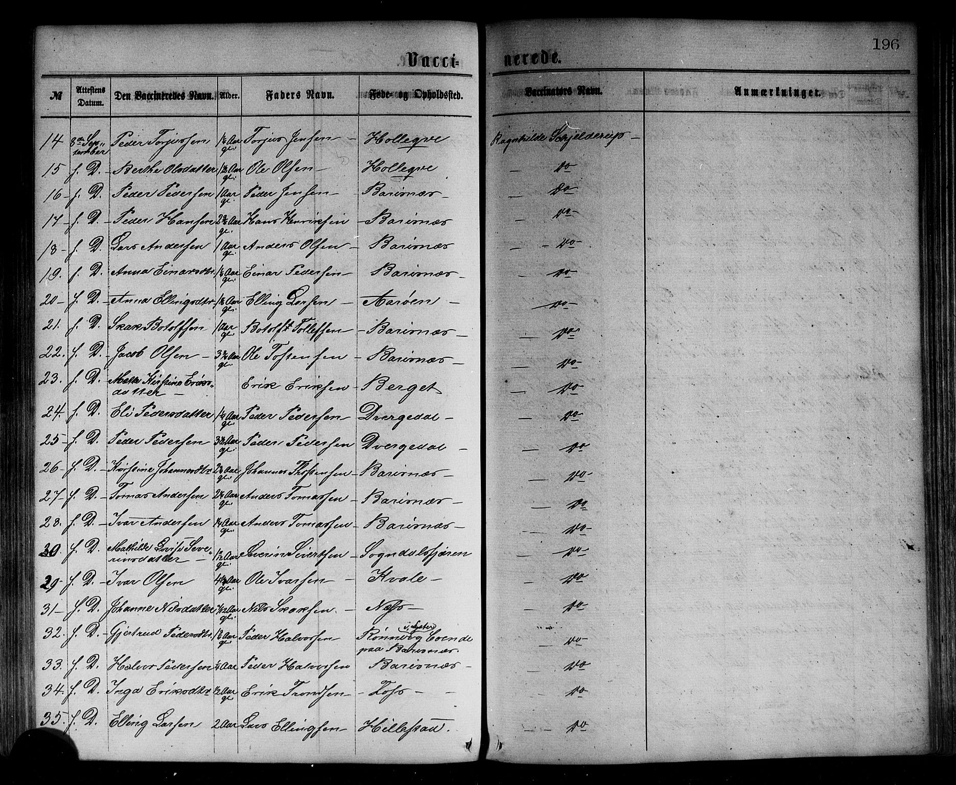 Sogndal sokneprestembete, AV/SAB-A-81301/H/Haa/Haaa/L0014: Parish register (official) no. A 14, 1864-1877, p. 196