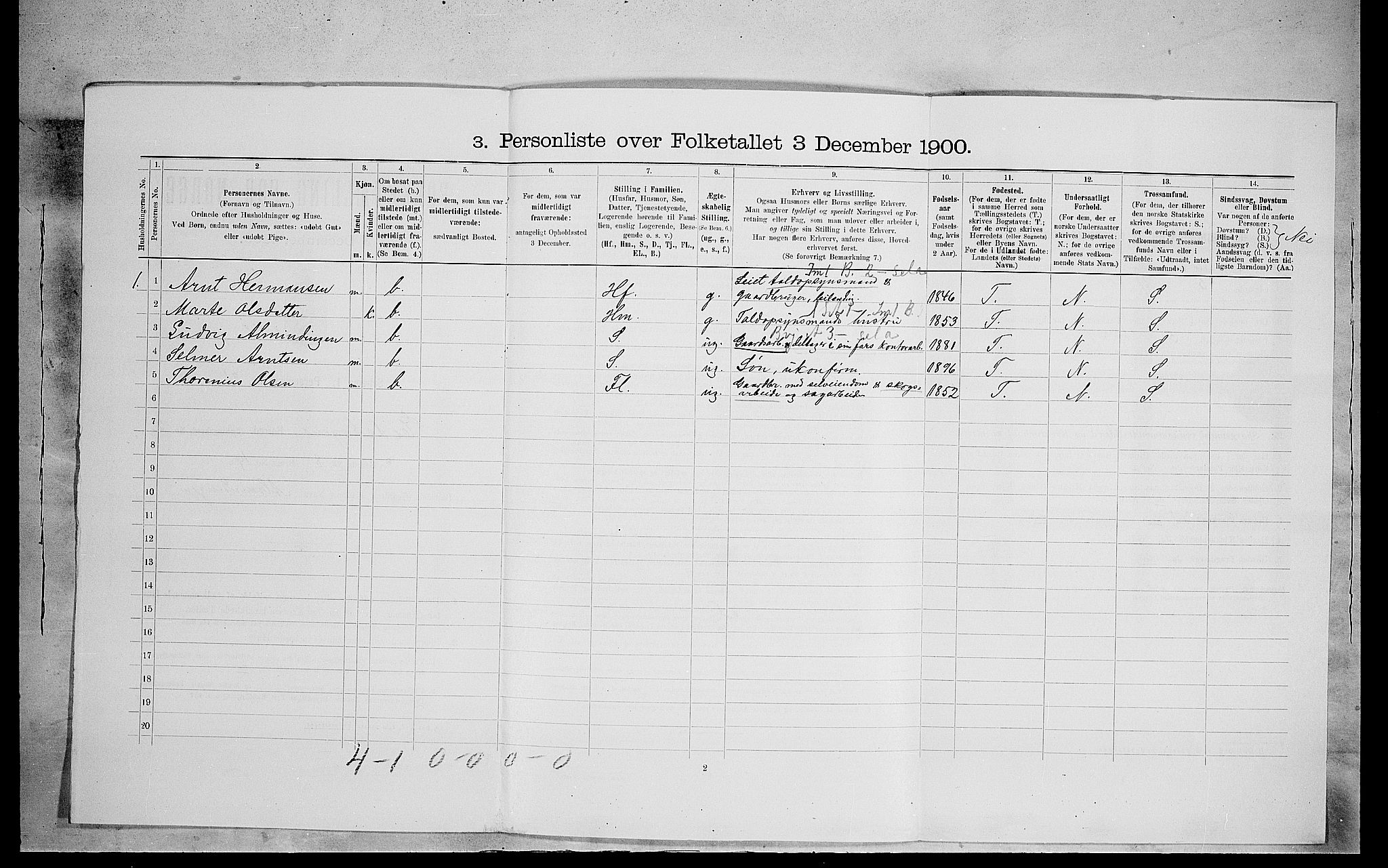 SAH, 1900 census for Eidskog, 1900, p. 308