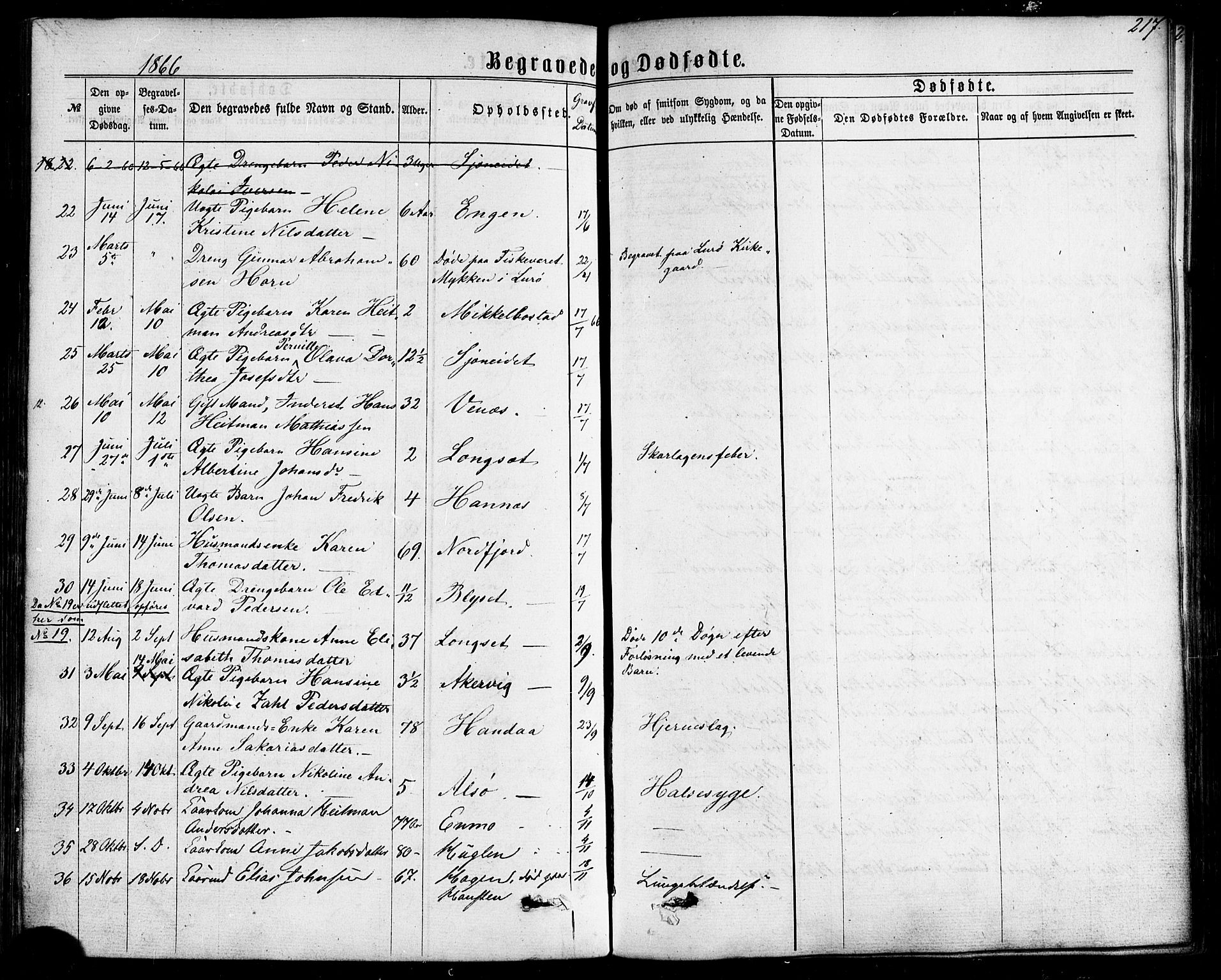 Ministerialprotokoller, klokkerbøker og fødselsregistre - Nordland, SAT/A-1459/838/L0551: Parish register (official) no. 838A09, 1864-1880, p. 217