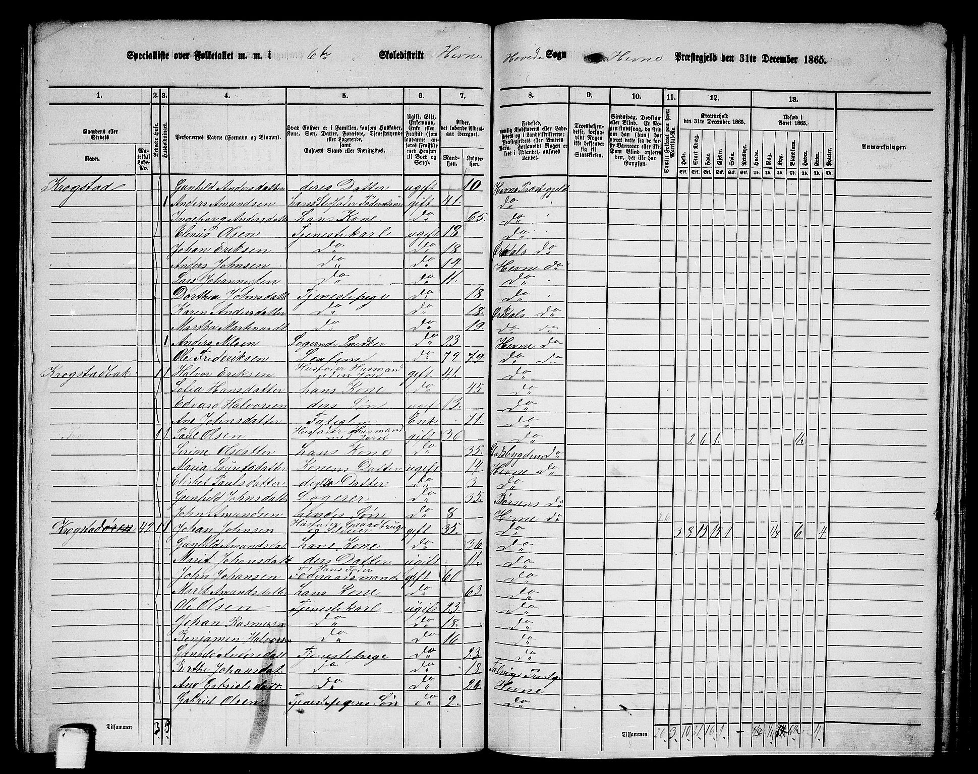 RA, 1865 census for Hemne, 1865, p. 127